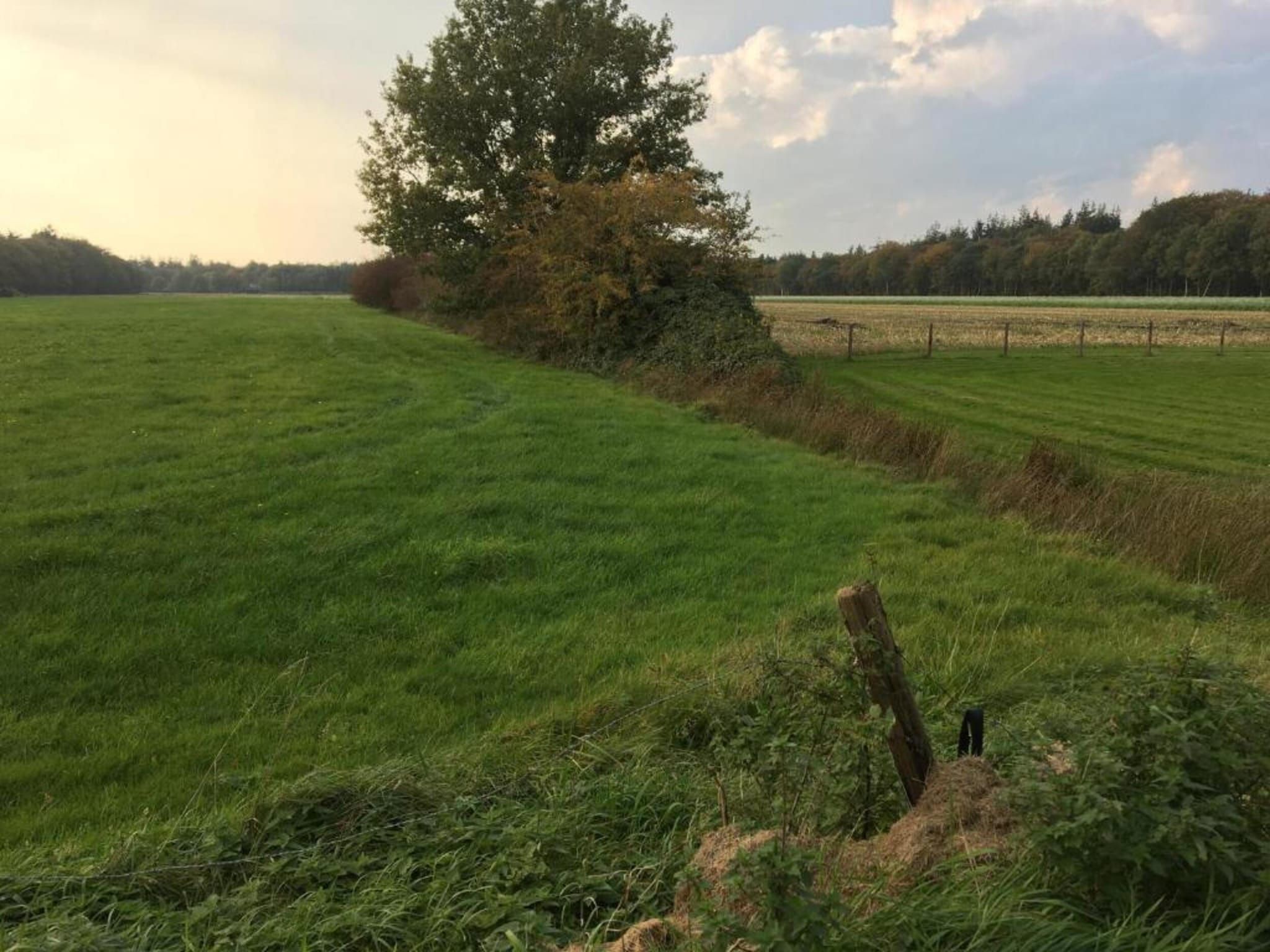 Meer van Eysinga in Sint Nicolaasga - Foto 28 van 31