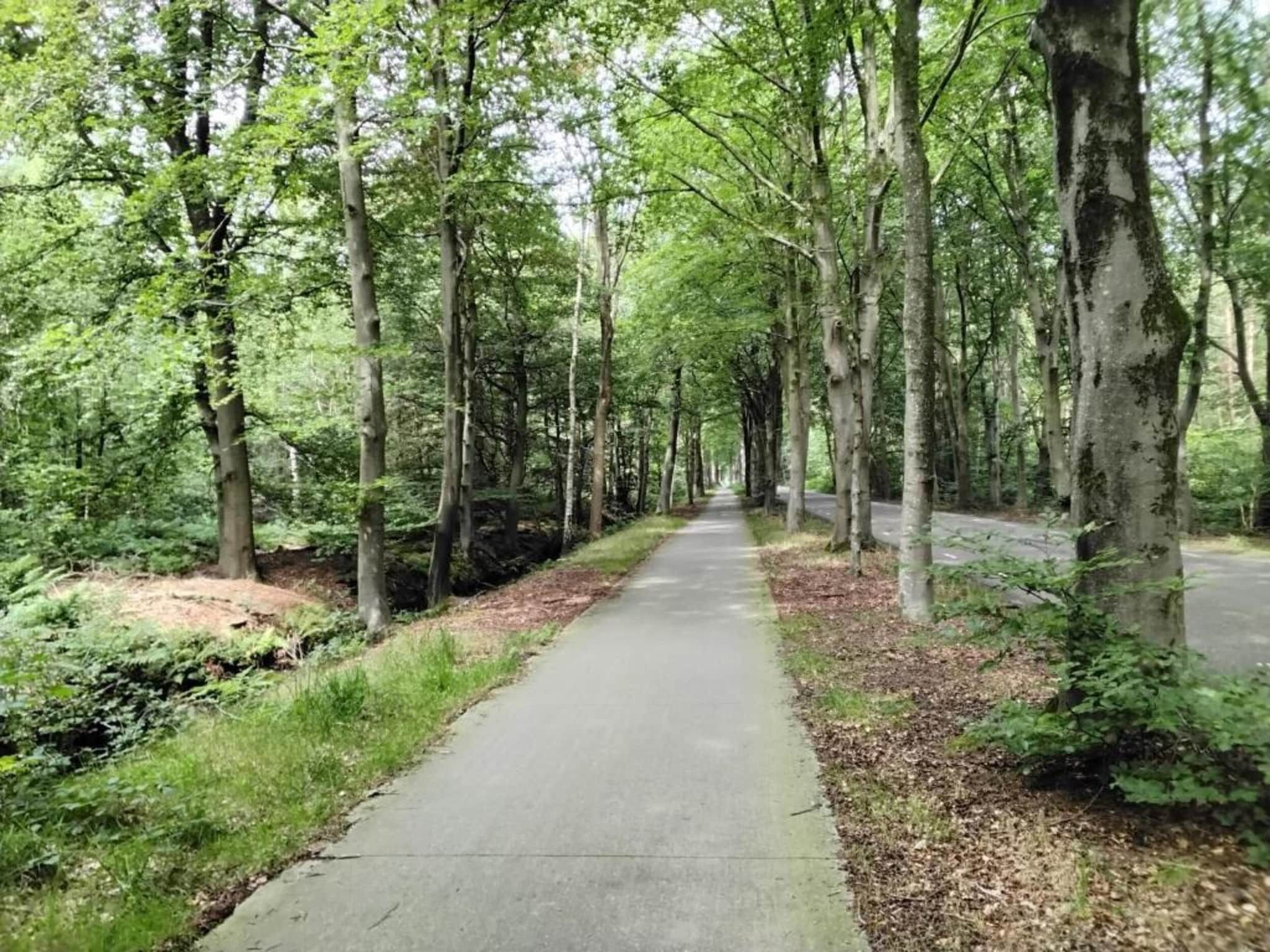 Meer van Eysinga in Sint Nicolaasga - Foto 21 van 31