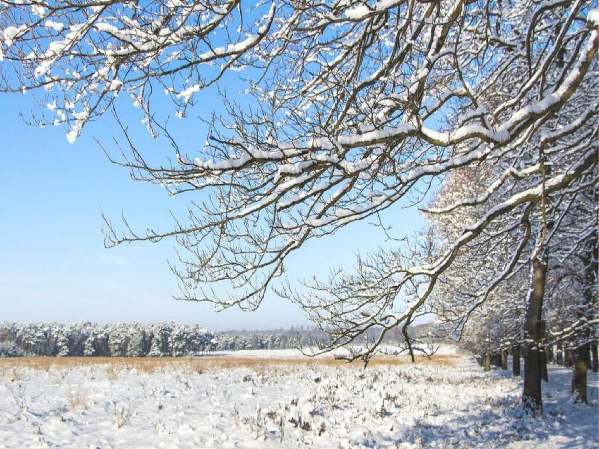 Bospark de Schaapskooi 8 in Wissel/Epe - Foto 39 van 39