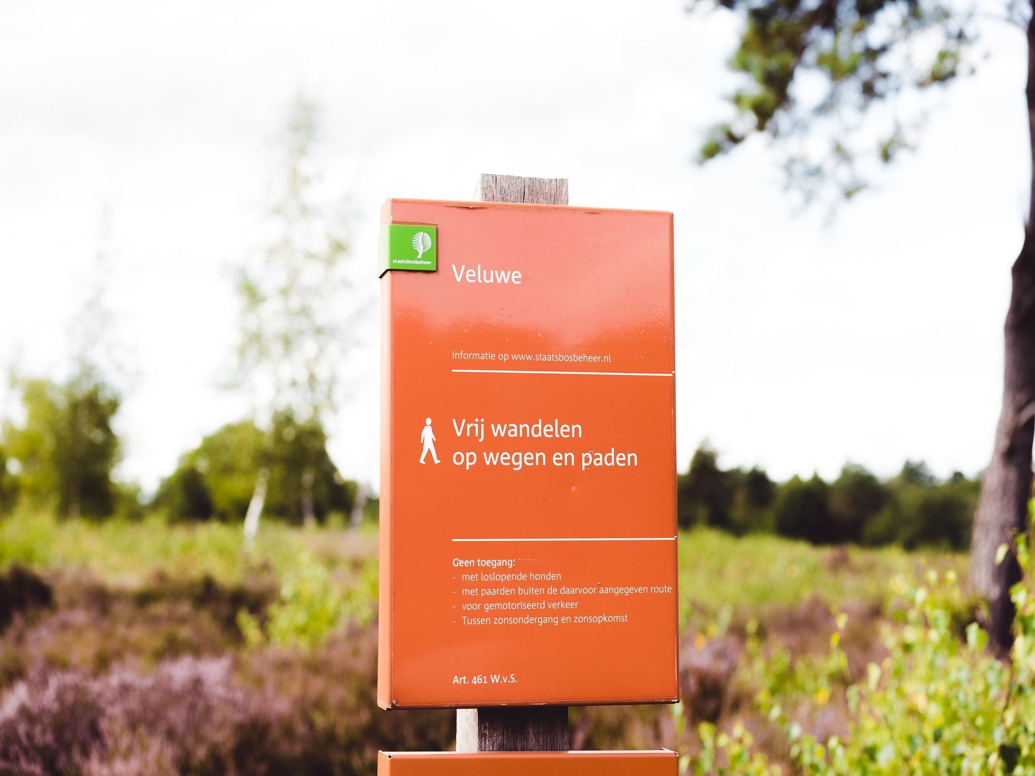 De omgeving van Bospark de Schaapskooi 5 in Wissel/Epe