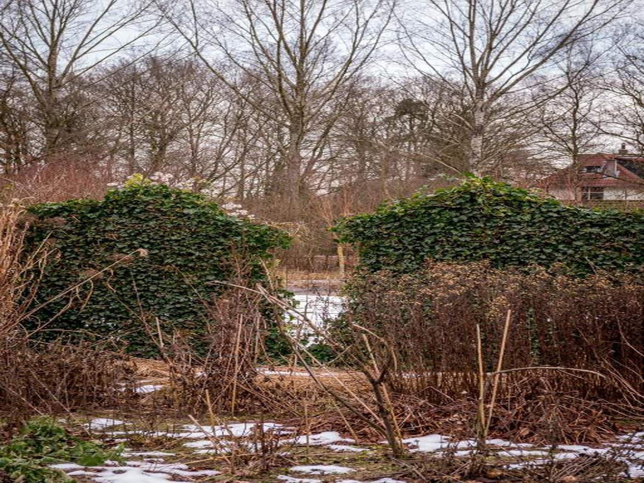 Bospark de Schaapskooi 5 in Wissel/Epe - Foto 37 van 39