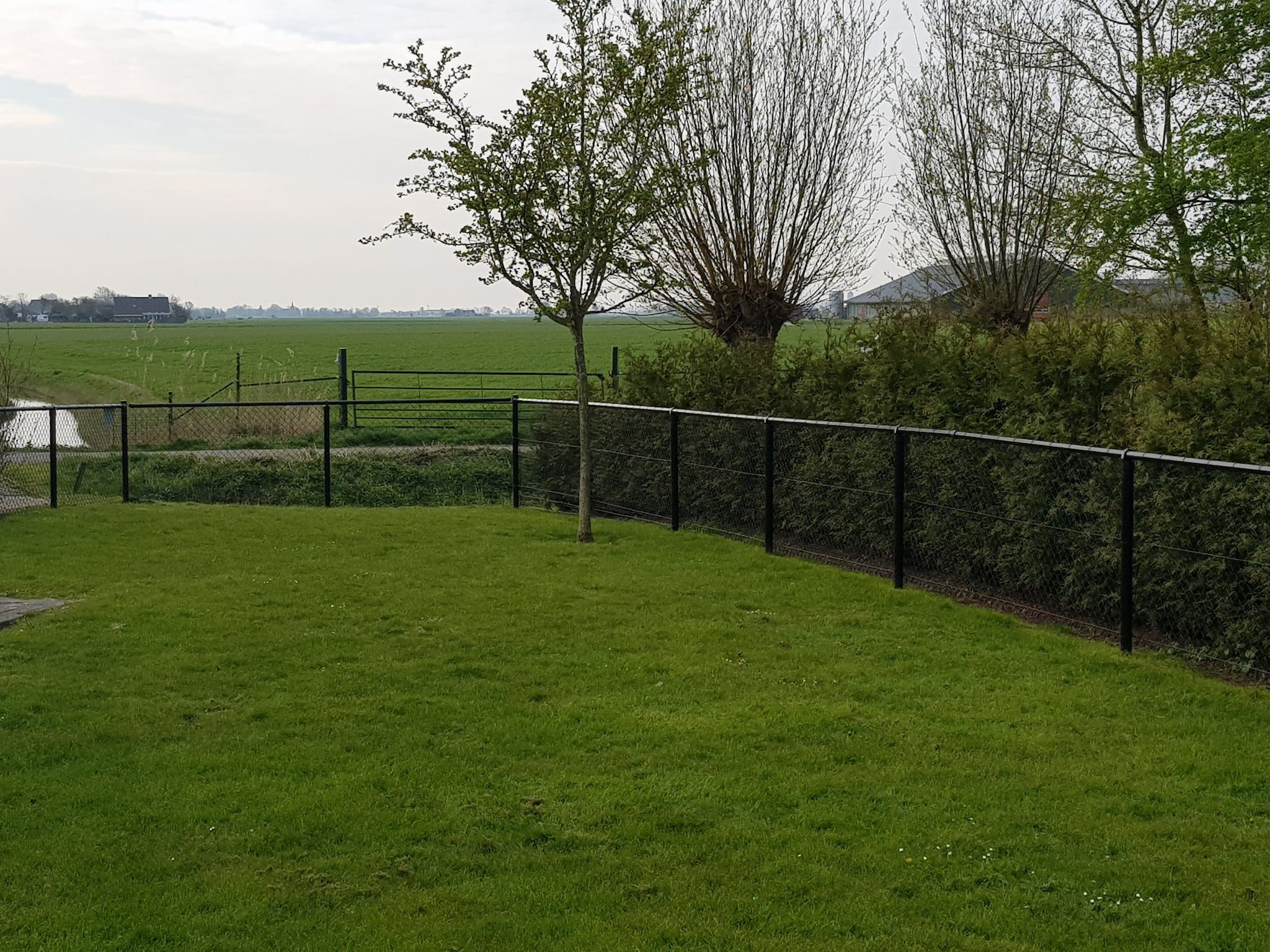 De tuin van Bargereed 66 in Tzummarum
