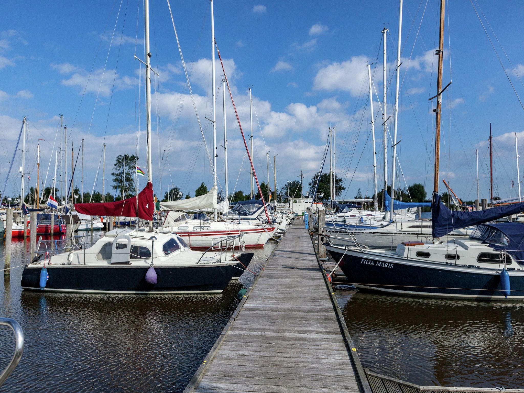 De omgeving van De Scholekster in Oostmahorn