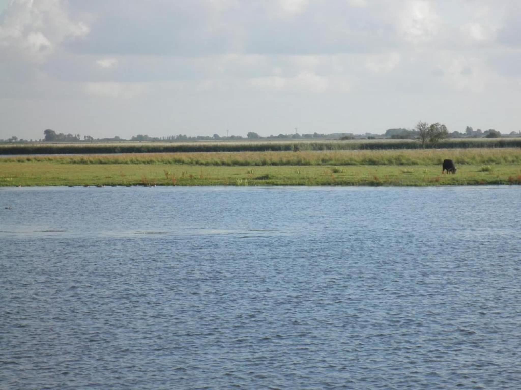 De omgeving van De Scholekster in Oostmahorn