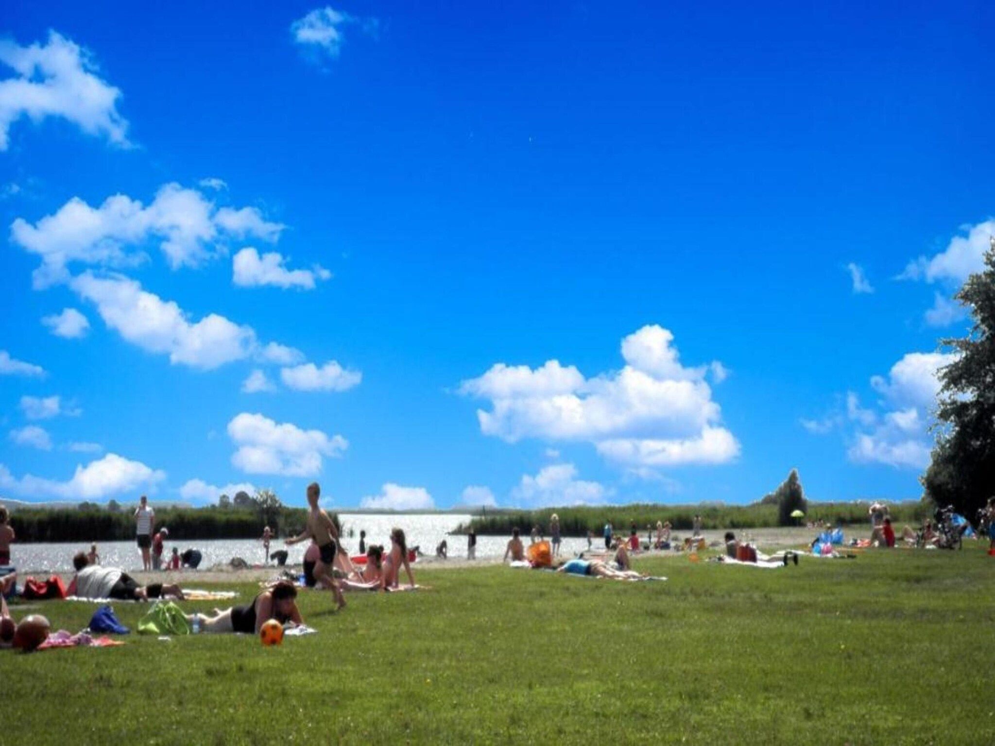 De omgeving van De Scholekster in Oostmahorn