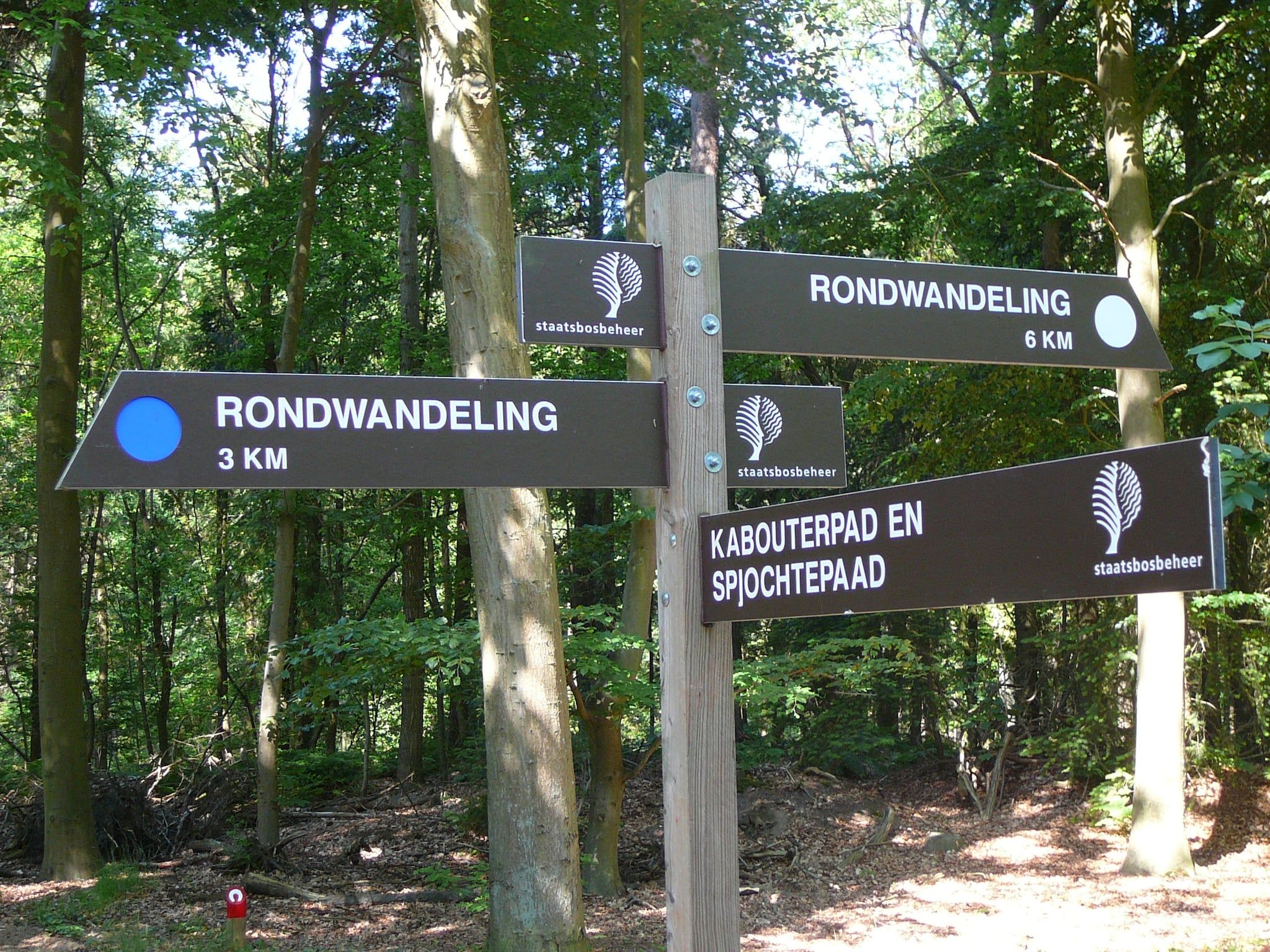 De Meerkoet in Oudemirdum - Foto 22 van 40