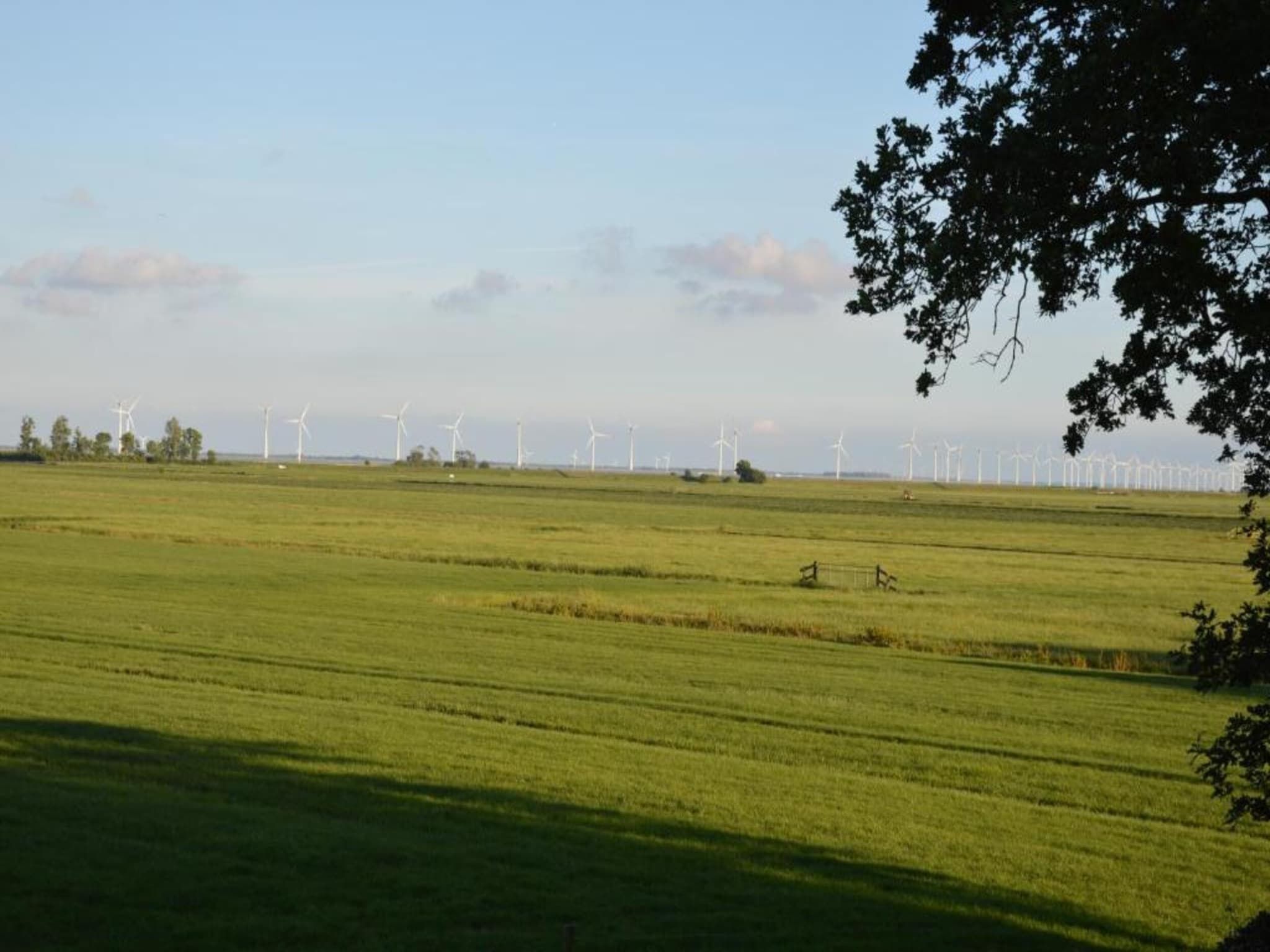 De omgeving van De Meerkoet in Oudemirdum