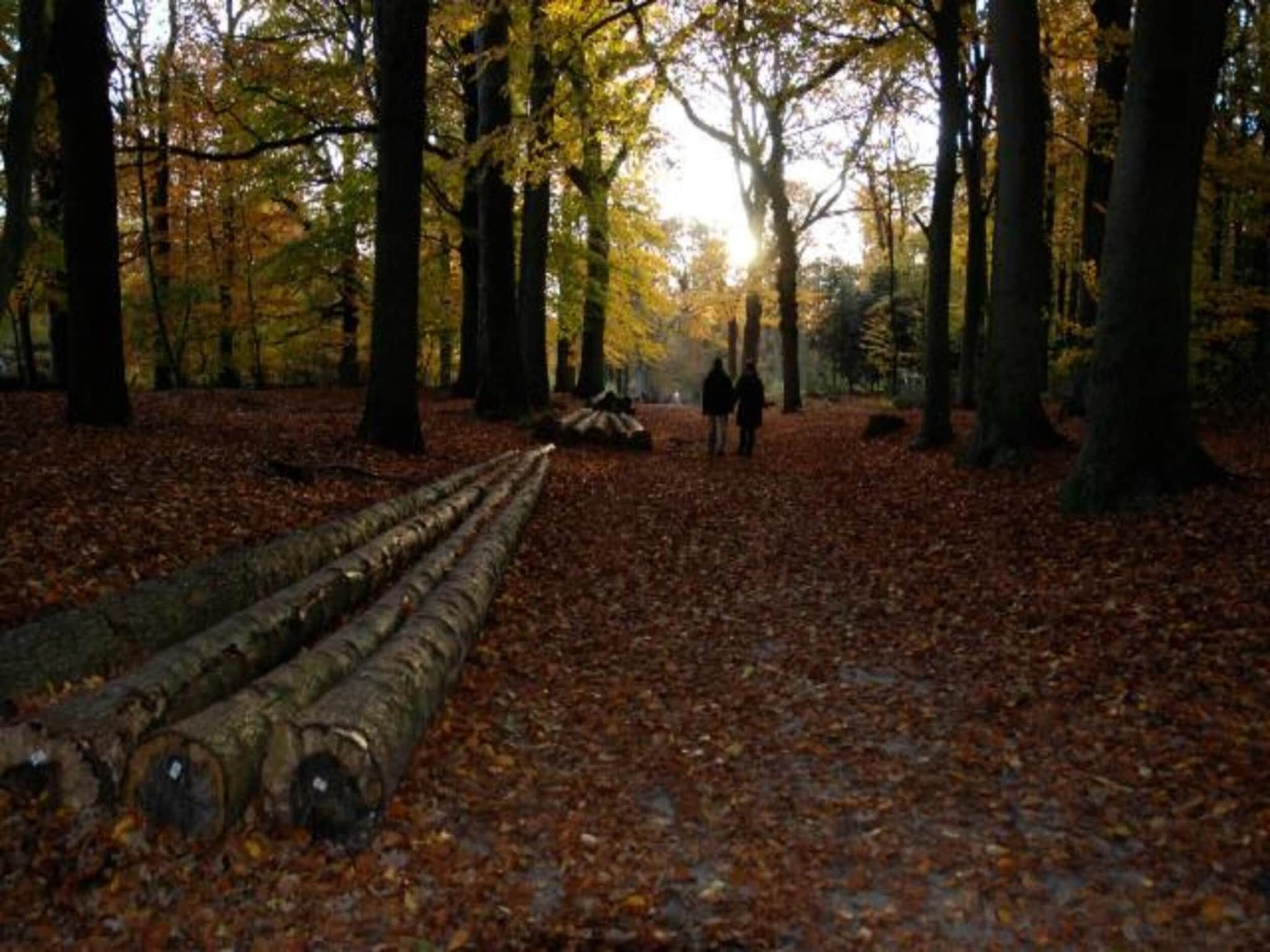 De omgeving van De Meerkoet in Oudemirdum