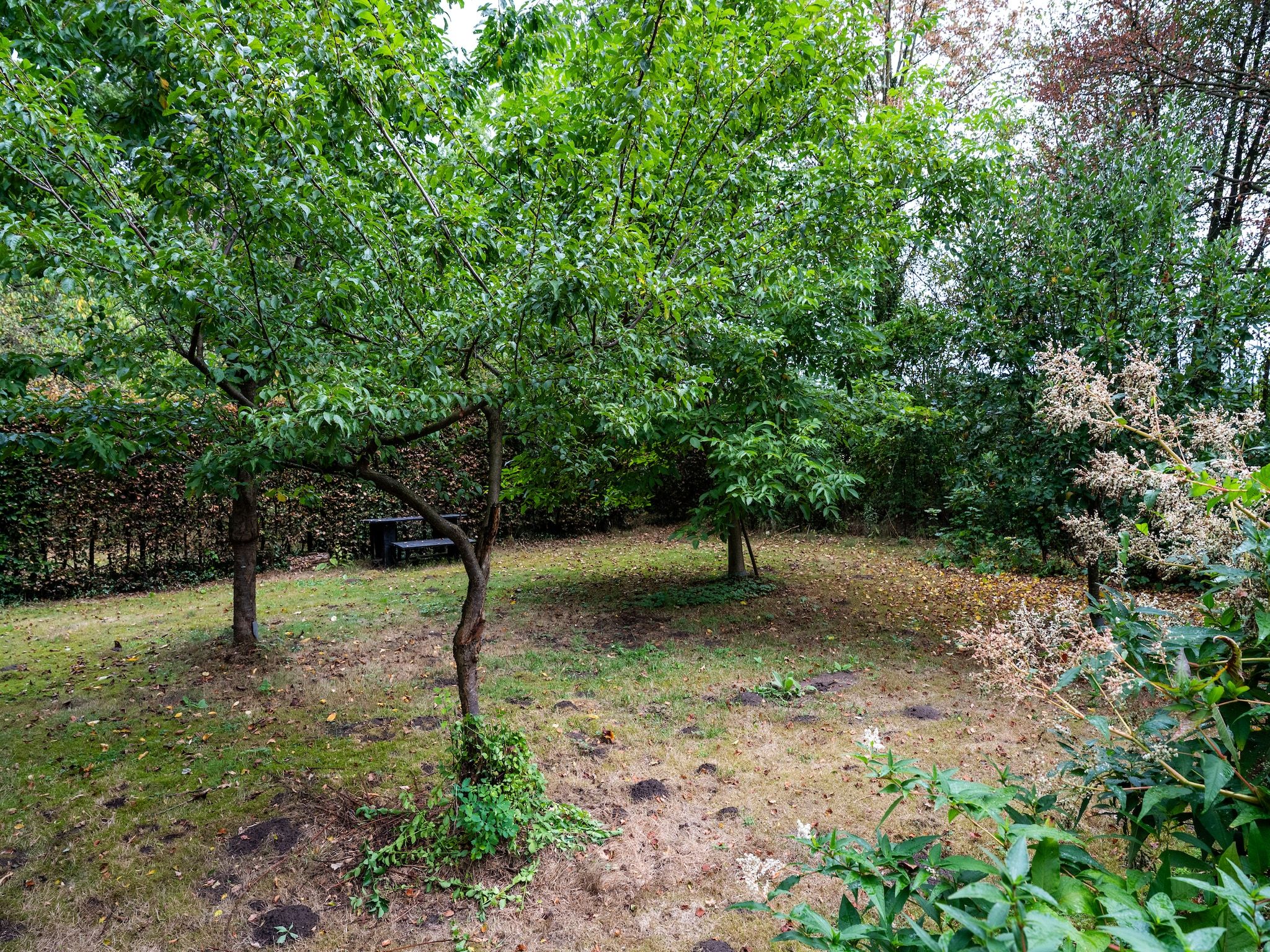 De tuin van De Hagmolenbeek Boekelo in Boekelo
