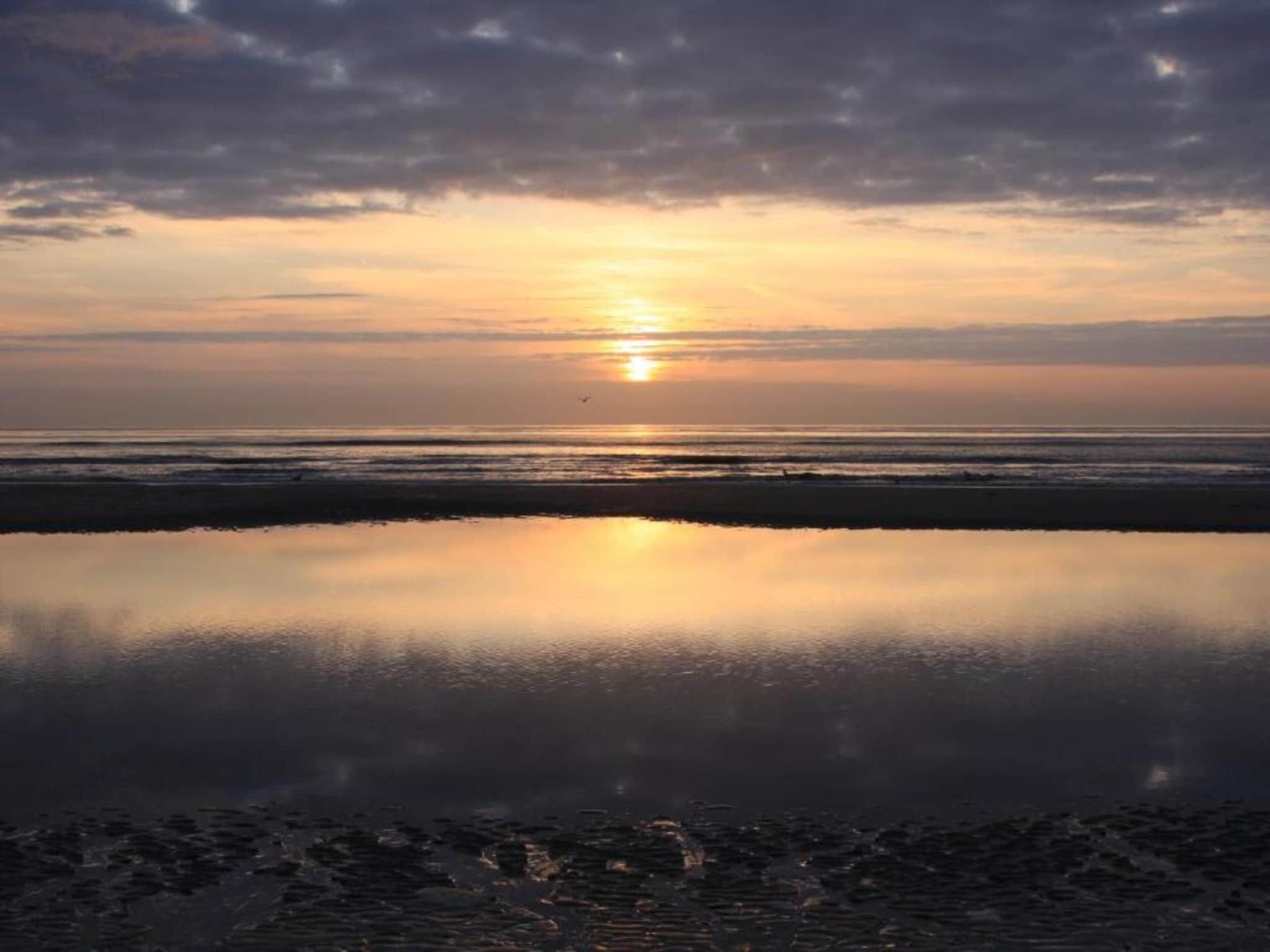 De omgeving van Zee Bries in De Koog