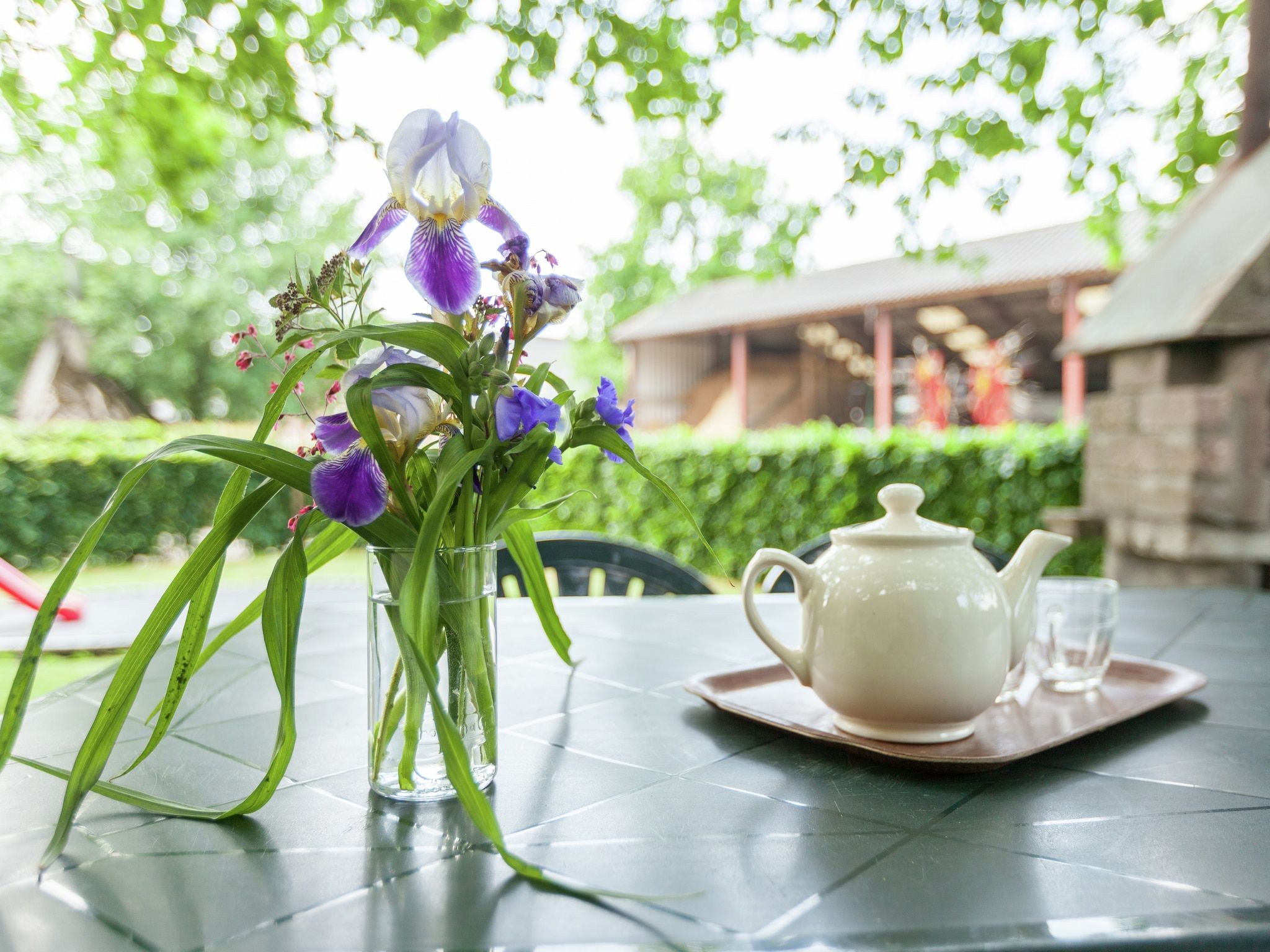 Sfeerbeeld van Zonnedauw in Uden