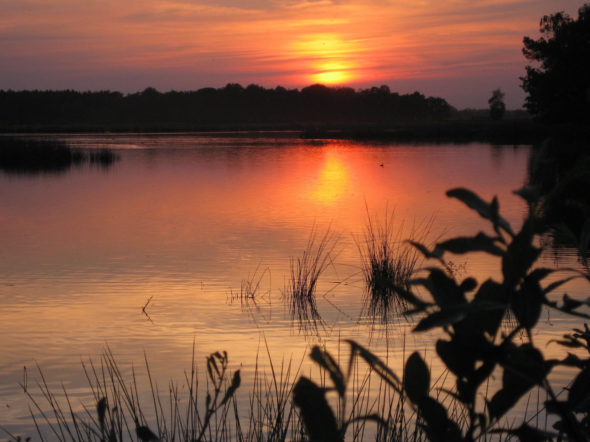 De omgeving van De Maaijen in Ulicoten