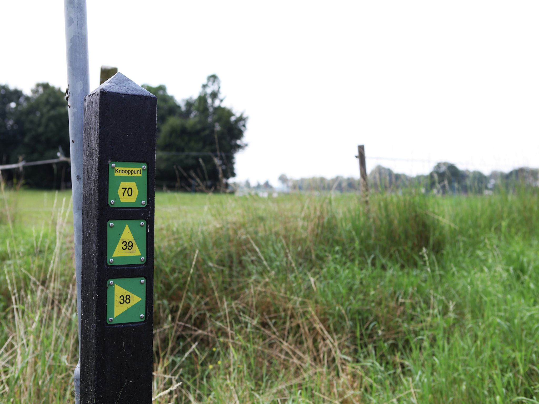 De Maaijen in Ulicoten - Foto 24 van 35