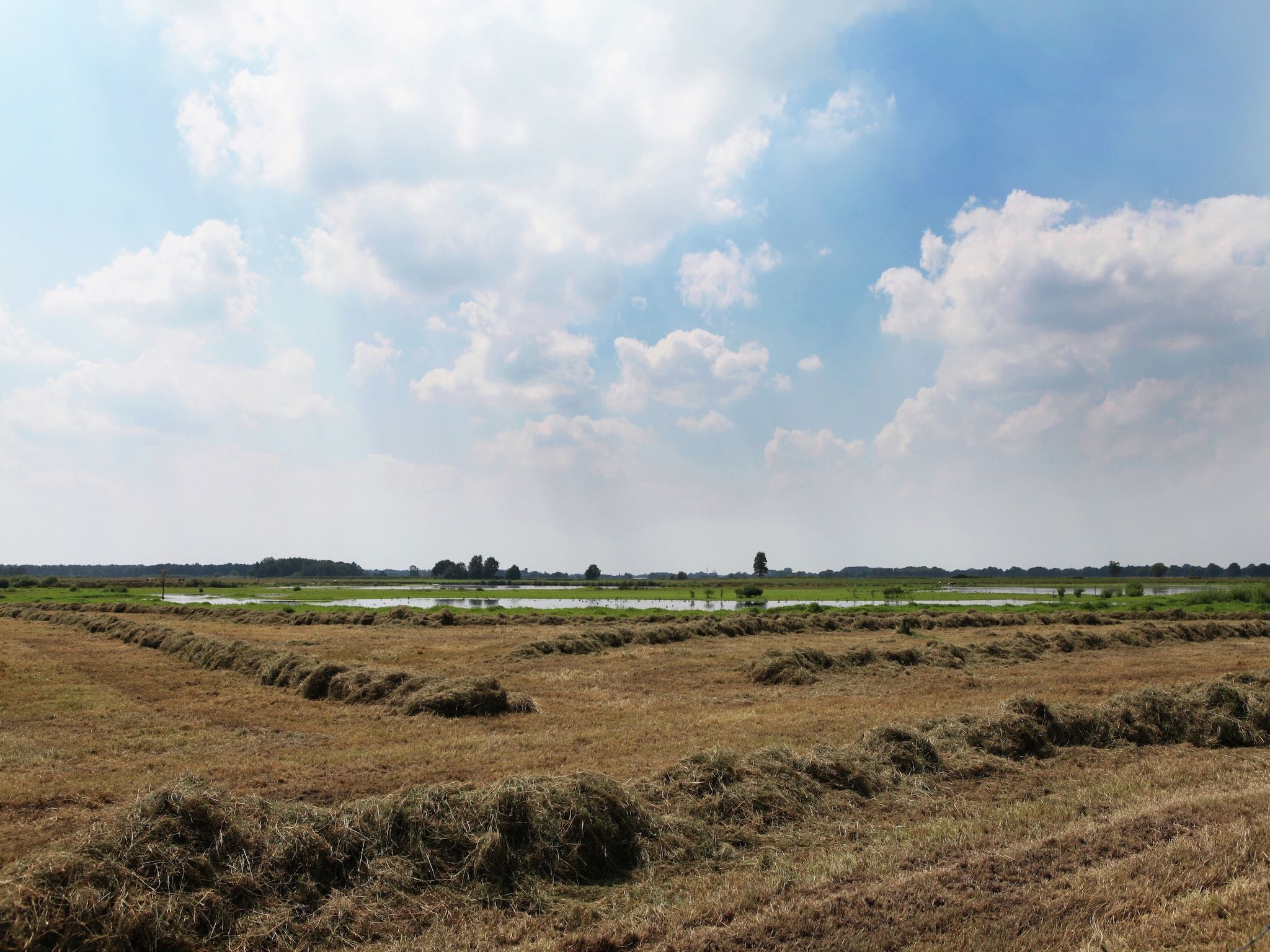 De omgeving van De Maaijen in Ulicoten