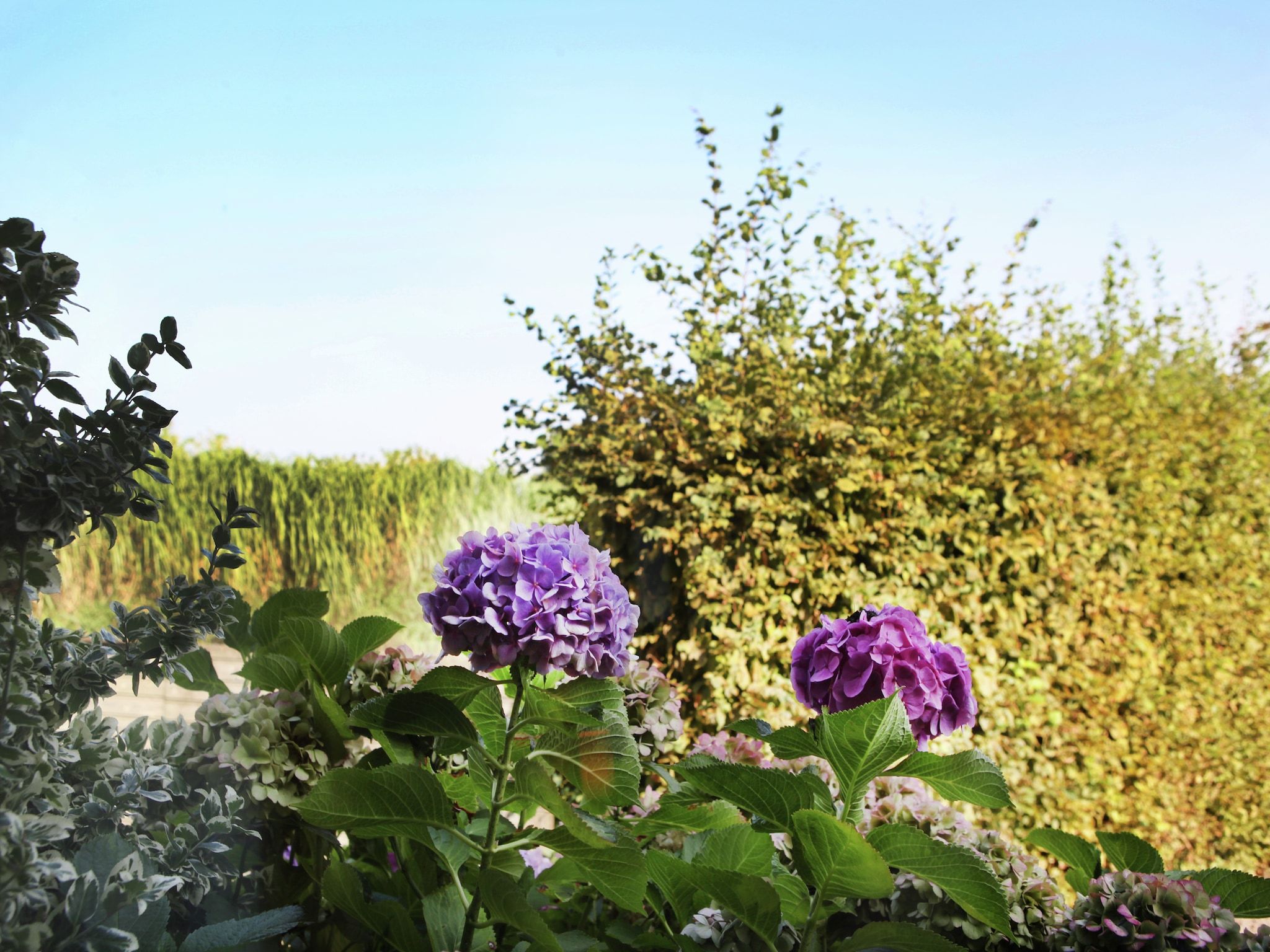 Sfeerbeeld van Appartement De Hooizolder in Eede