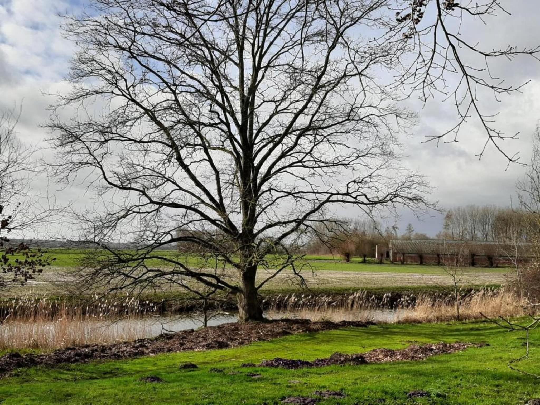 Appartement De Hooizolder in Eede - Foto 22 van 35