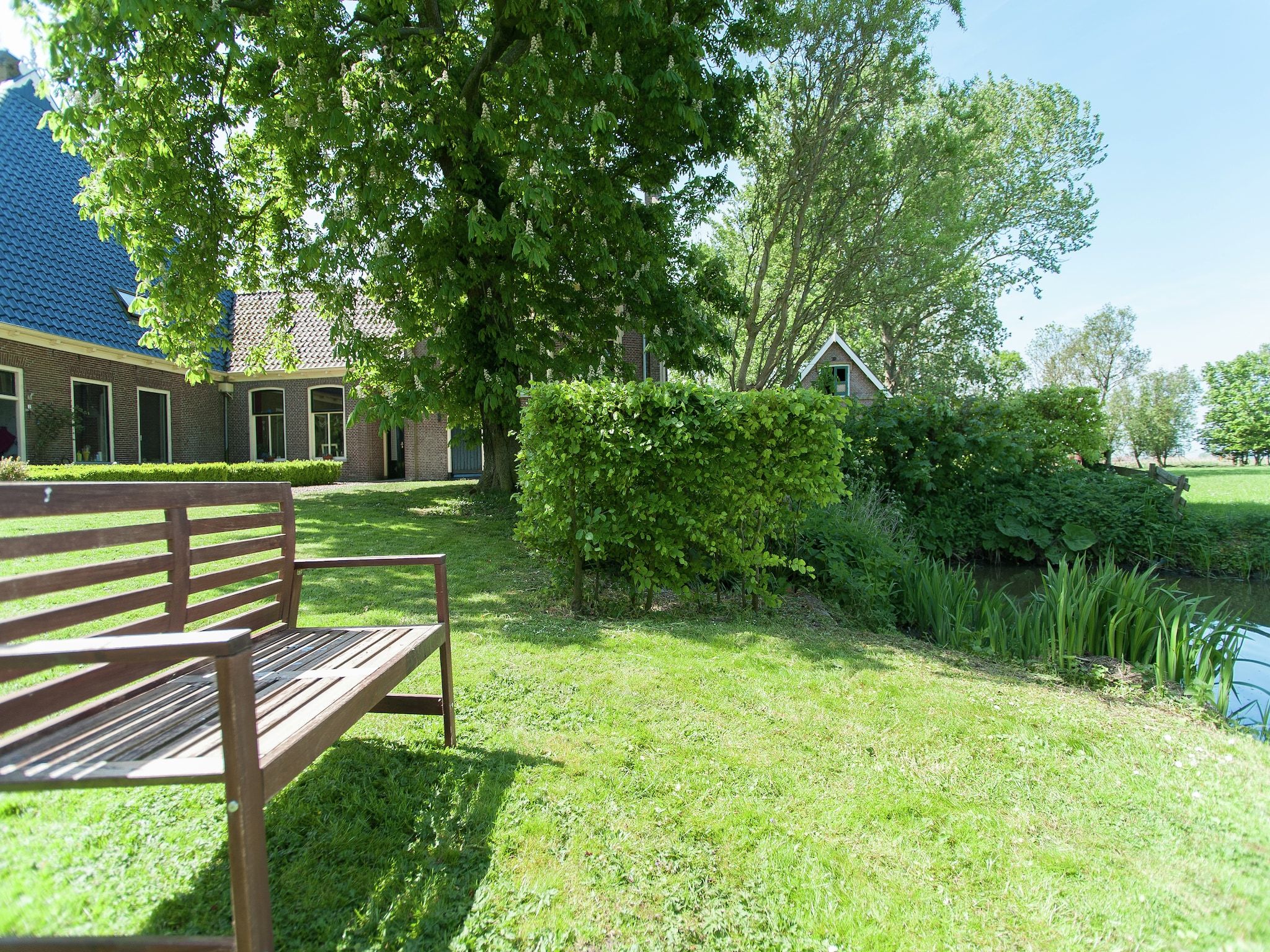 De tuin van Pronkkeamer Skrins in Easterlittens