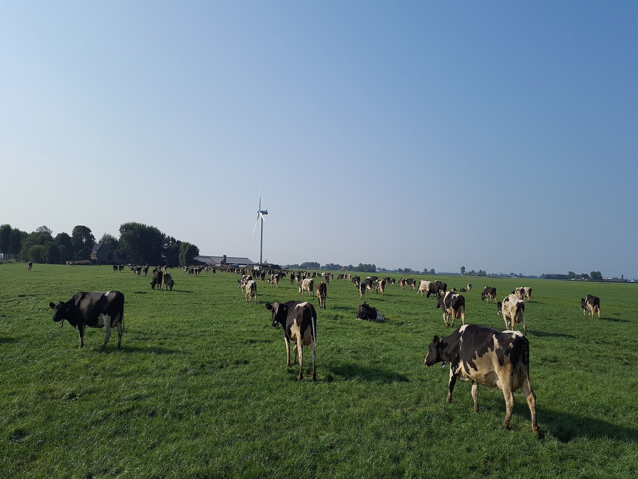 Het uitzicht vanaf Pronkkeamer Skrins in Easterlittens