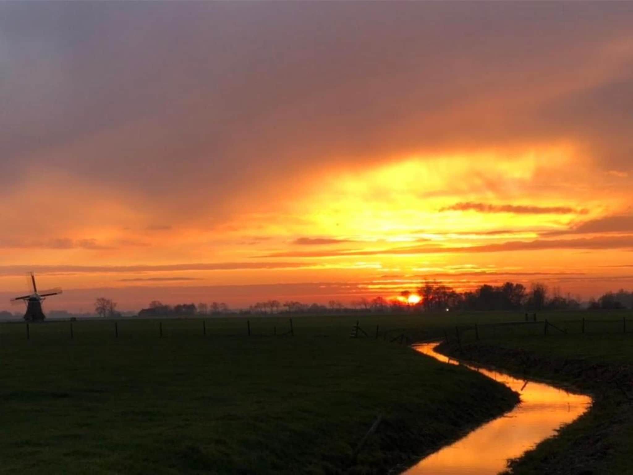 De omgeving van Pronkkeamer Skrins in Easterlittens