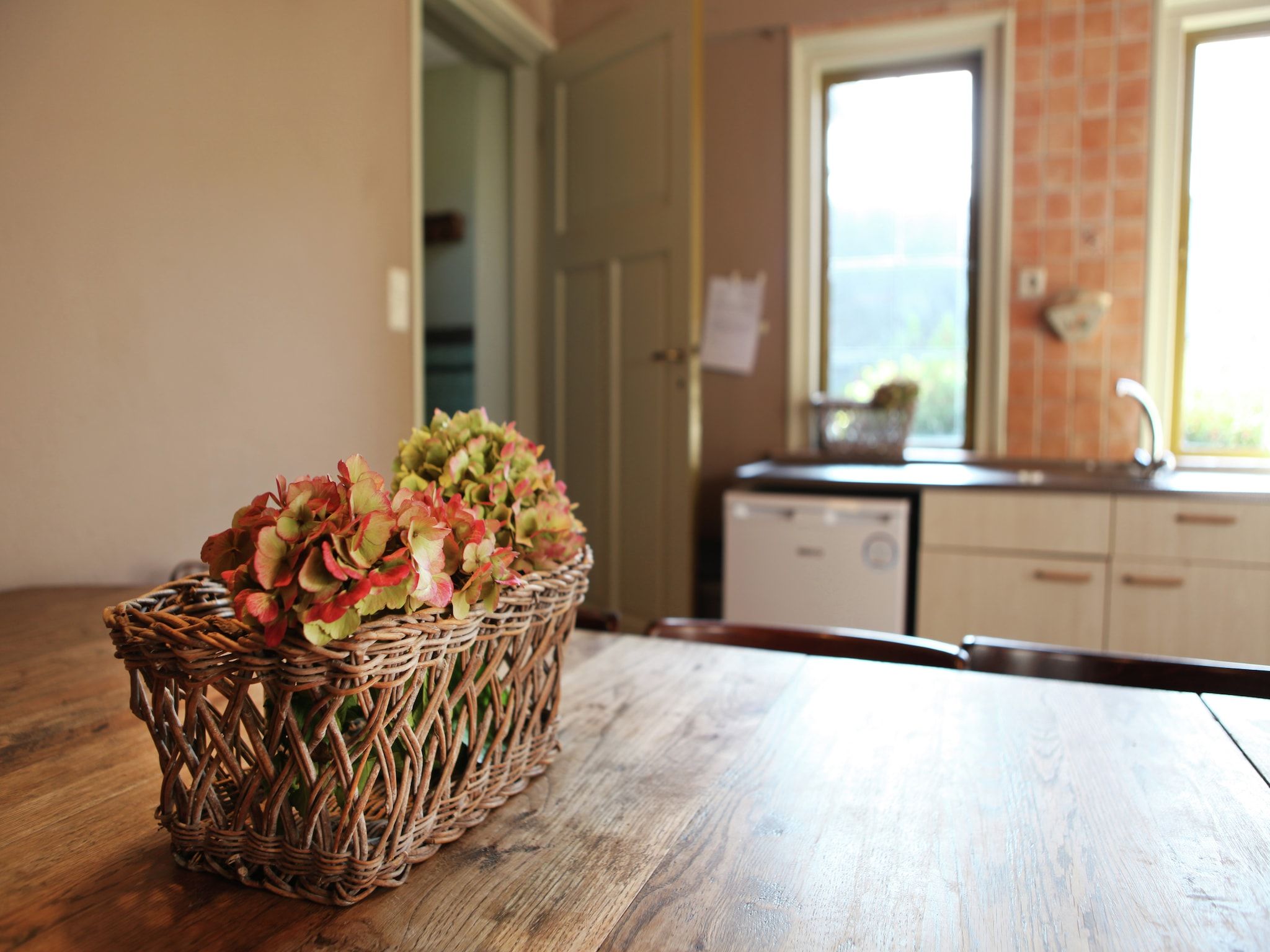 Sfeerbeeld van De Biezenpolder 't Groothuus in Eede