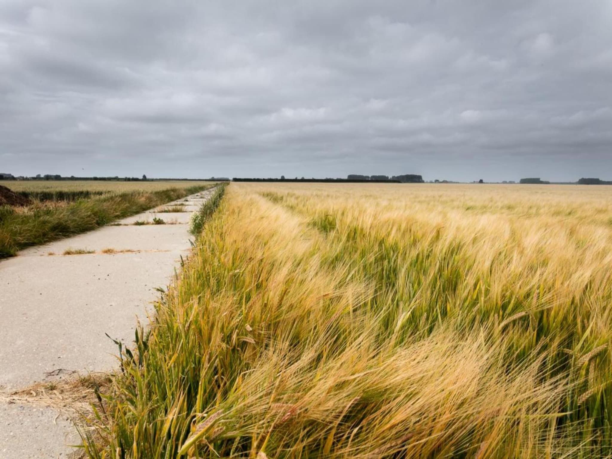 De Biezenpolder 't Groothuus in Eede - Foto 23 van 40