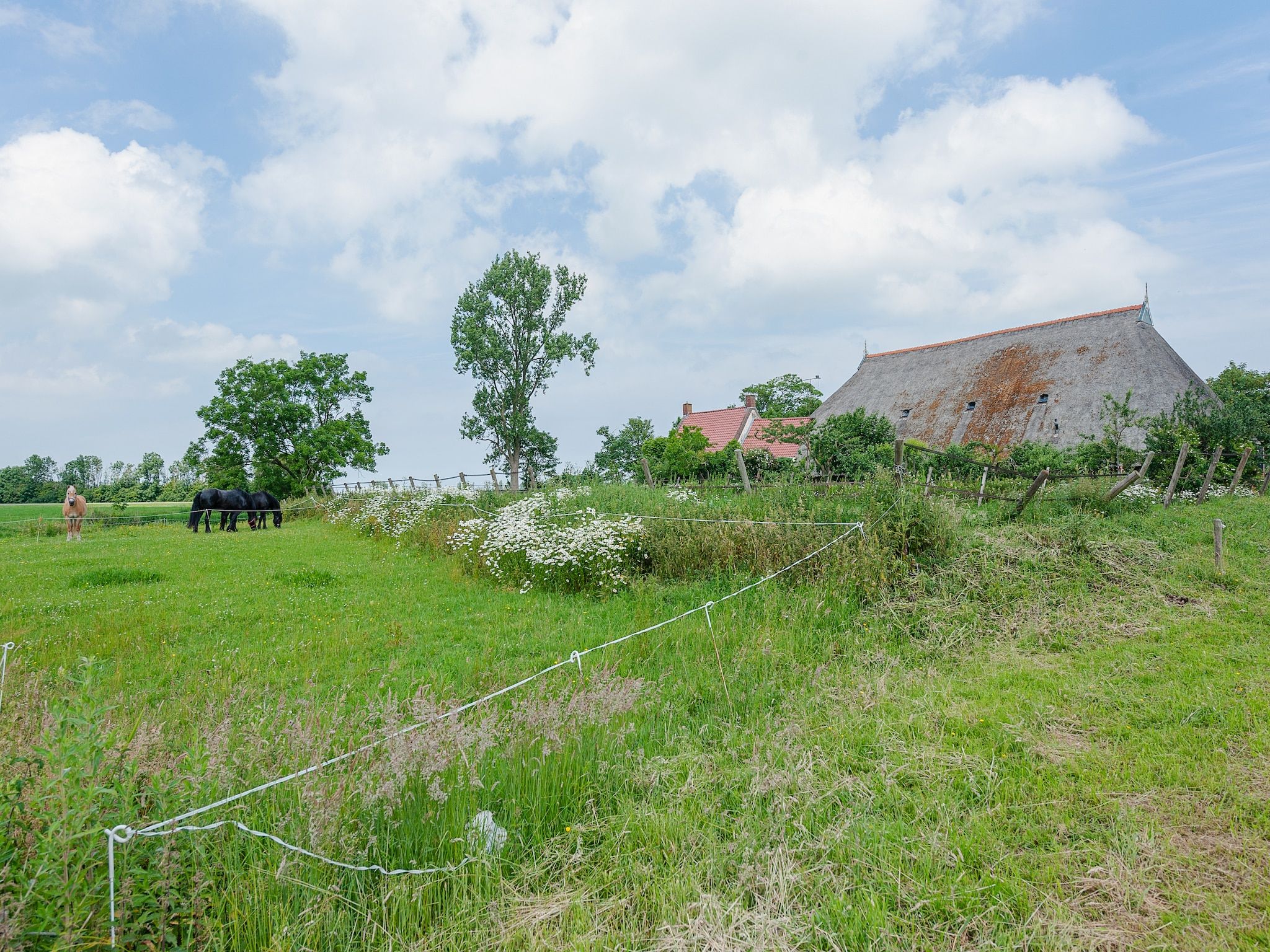 Lauwerspleats in Burum - Foto 30 van 40