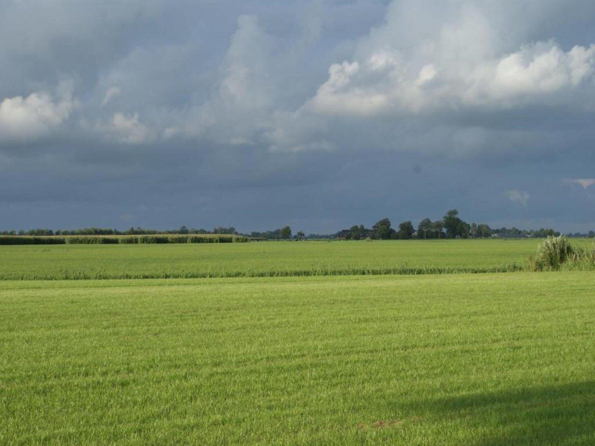 Lauwerspleats in Burum - Foto 37 van 40