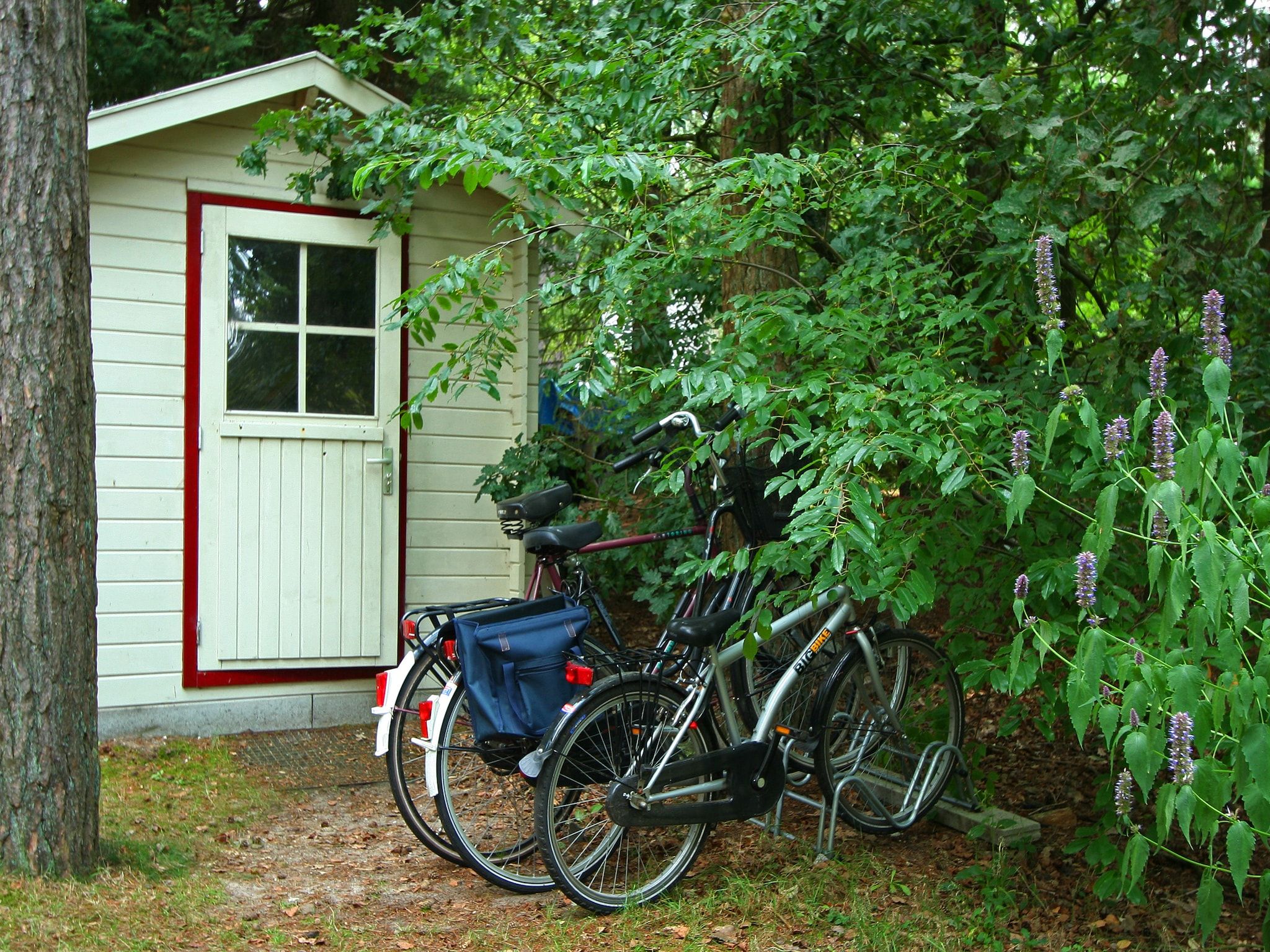 De tuin van Kleine Vos in Nunspeet