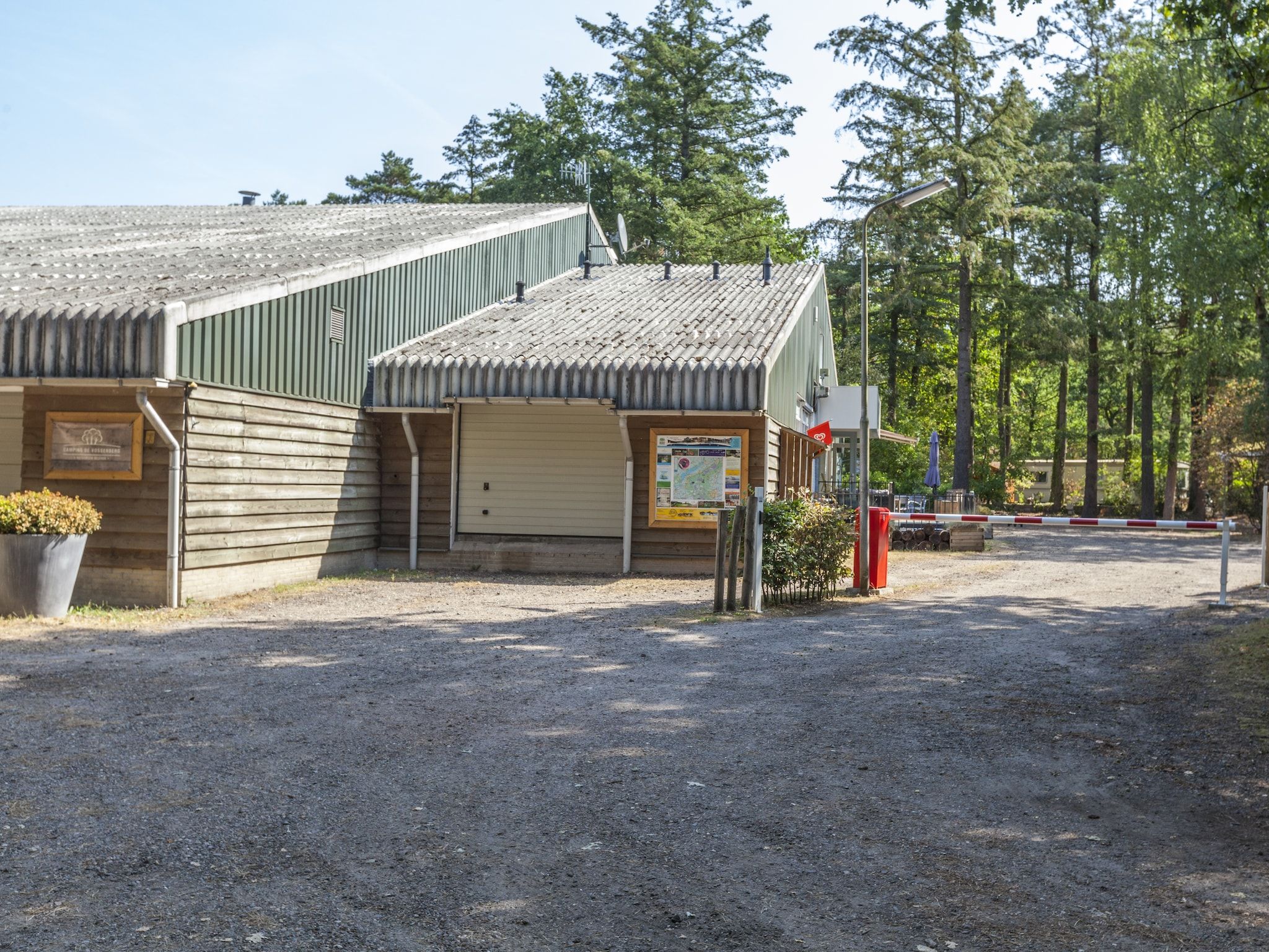 Kleine Vos in Nunspeet - Foto 7 van 38