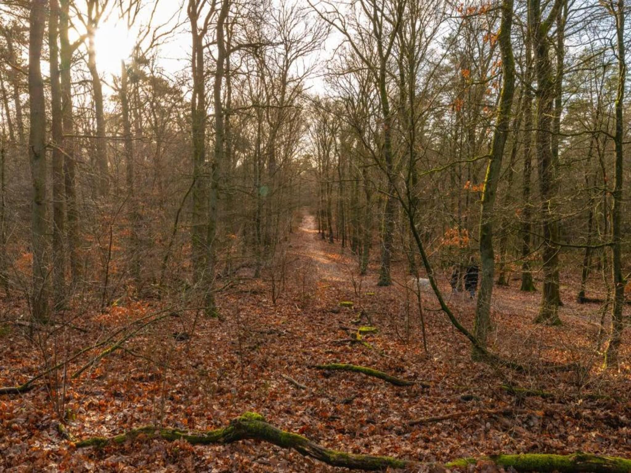 Bungalowpark Hoenderloo 2 in Hoenderloo - Foto 35 van 40