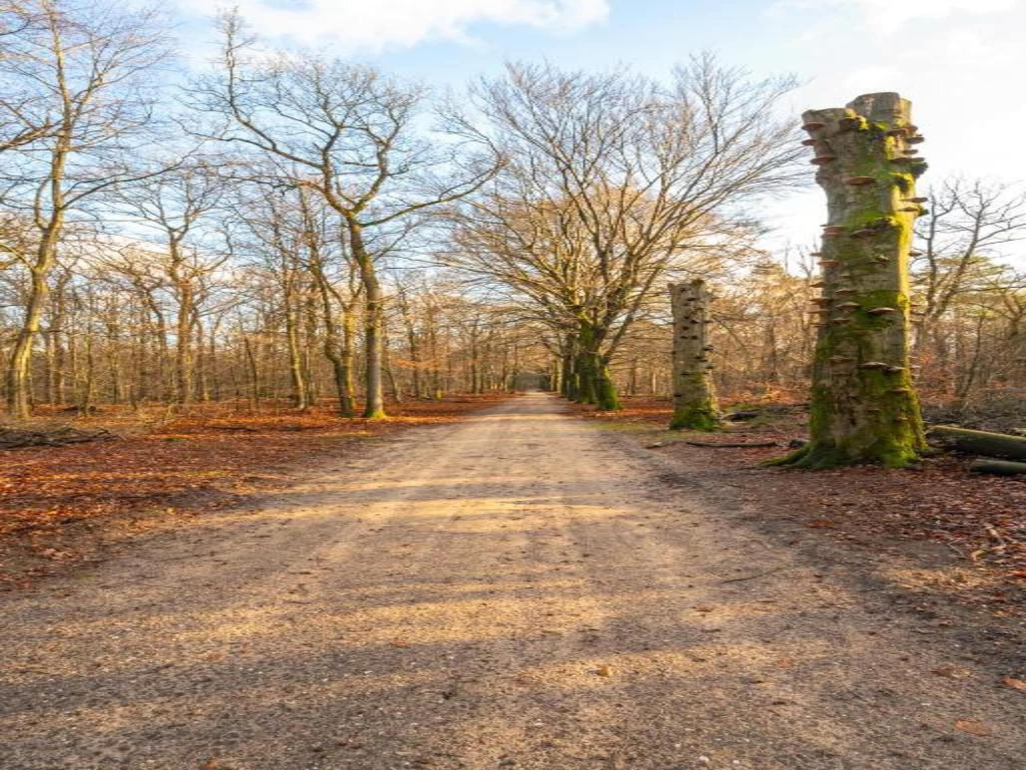 Bungalowpark Hoenderloo 1 in Hoenderloo - Foto 35 van 40