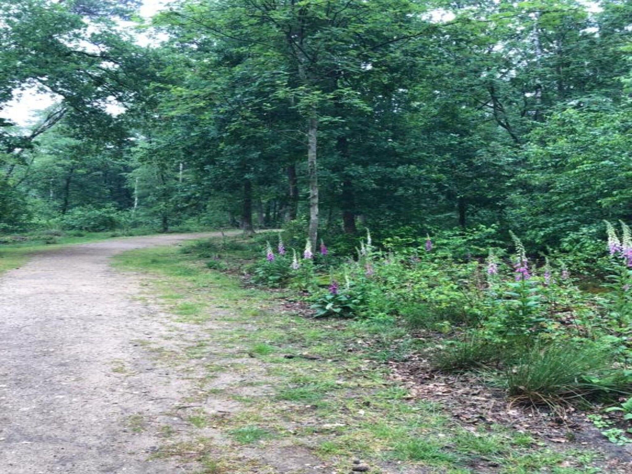 Bungalowpark Hoenderloo 1 in Hoenderloo - Foto 31 van 40