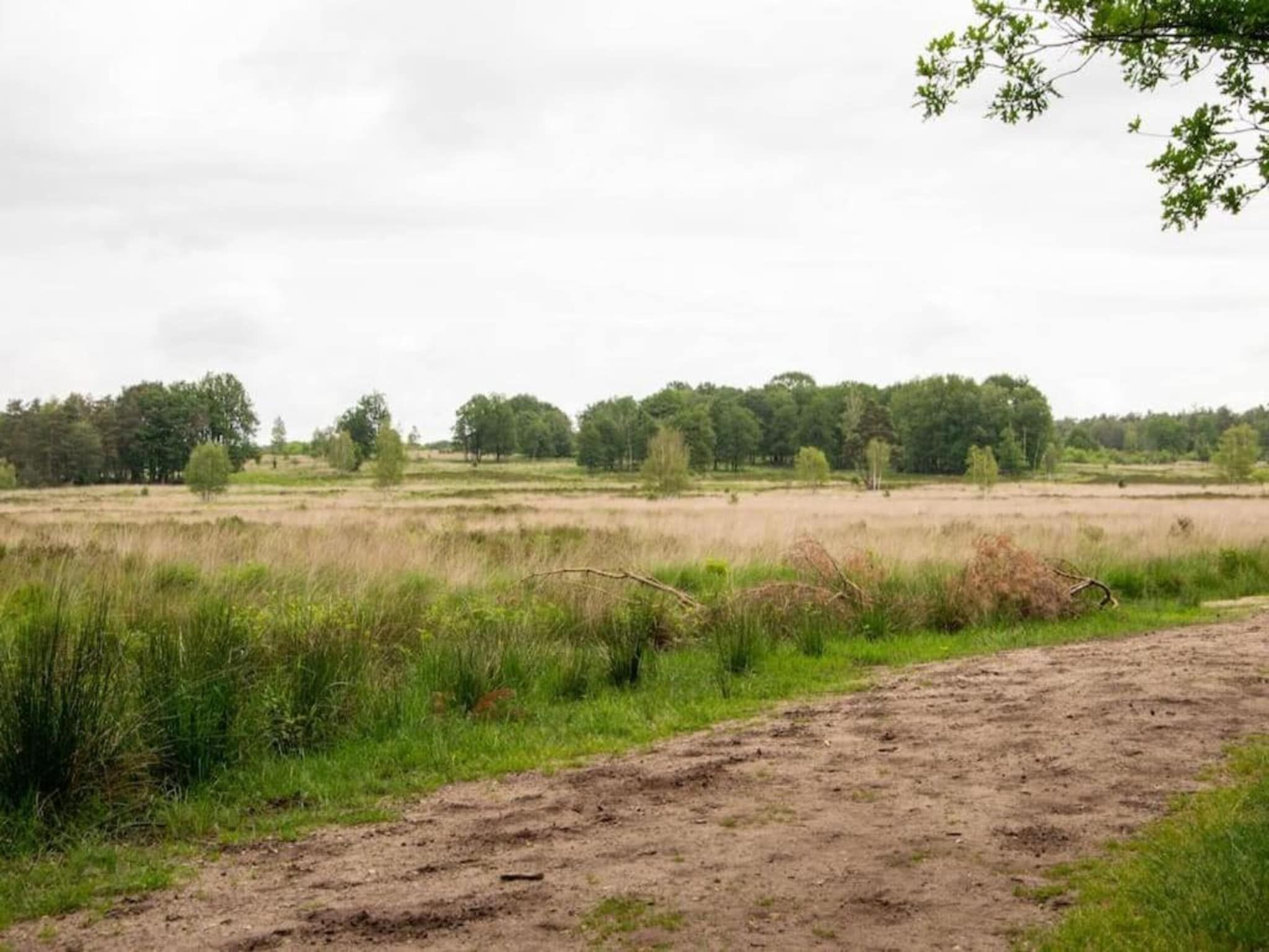 Bungalowpark Hoenderloo 1 in Hoenderloo - Foto 34 van 40