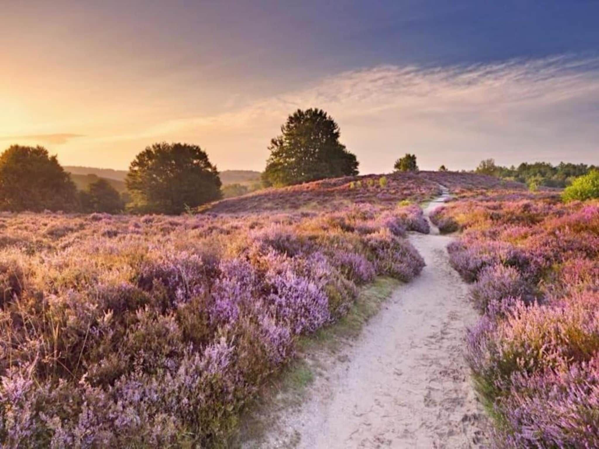 Bungalowpark Hoenderloo 1 in Hoenderloo - Foto 28 van 40