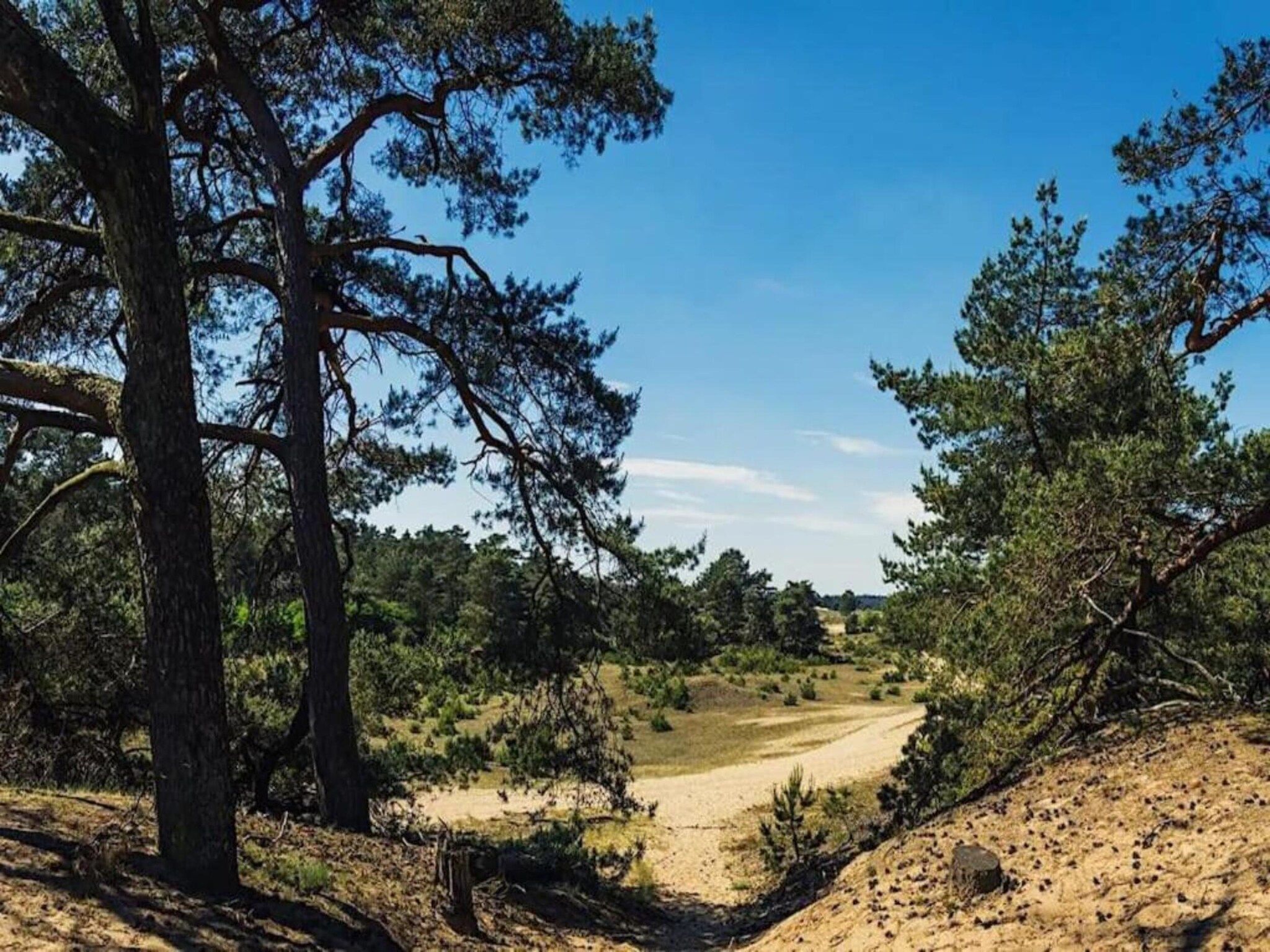 Bungalowpark Hoenderloo 1 in Hoenderloo - Foto 24 van 40