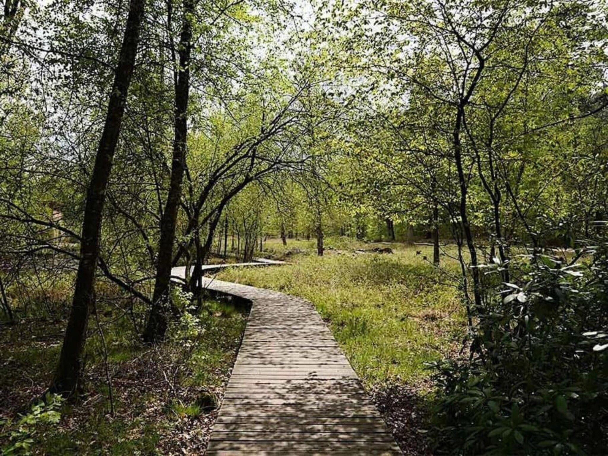 Bungalowpark Hoenderloo 1 in Hoenderloo - Foto 32 van 40