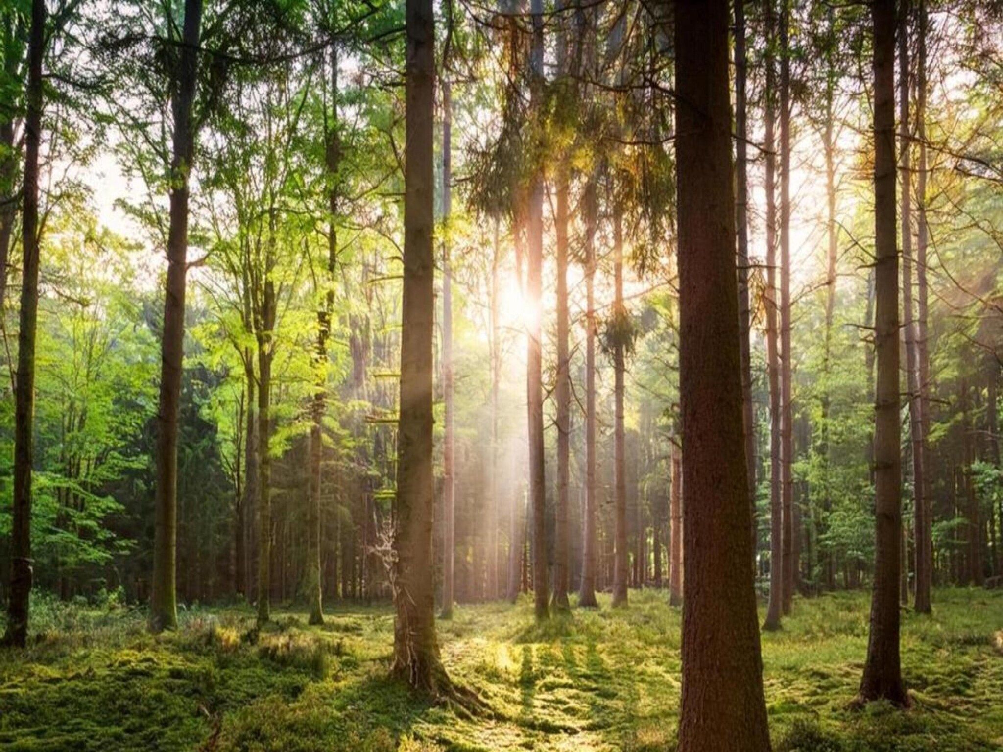 Bungalowpark Hoenderloo 1 in Hoenderloo - Foto 29 van 40