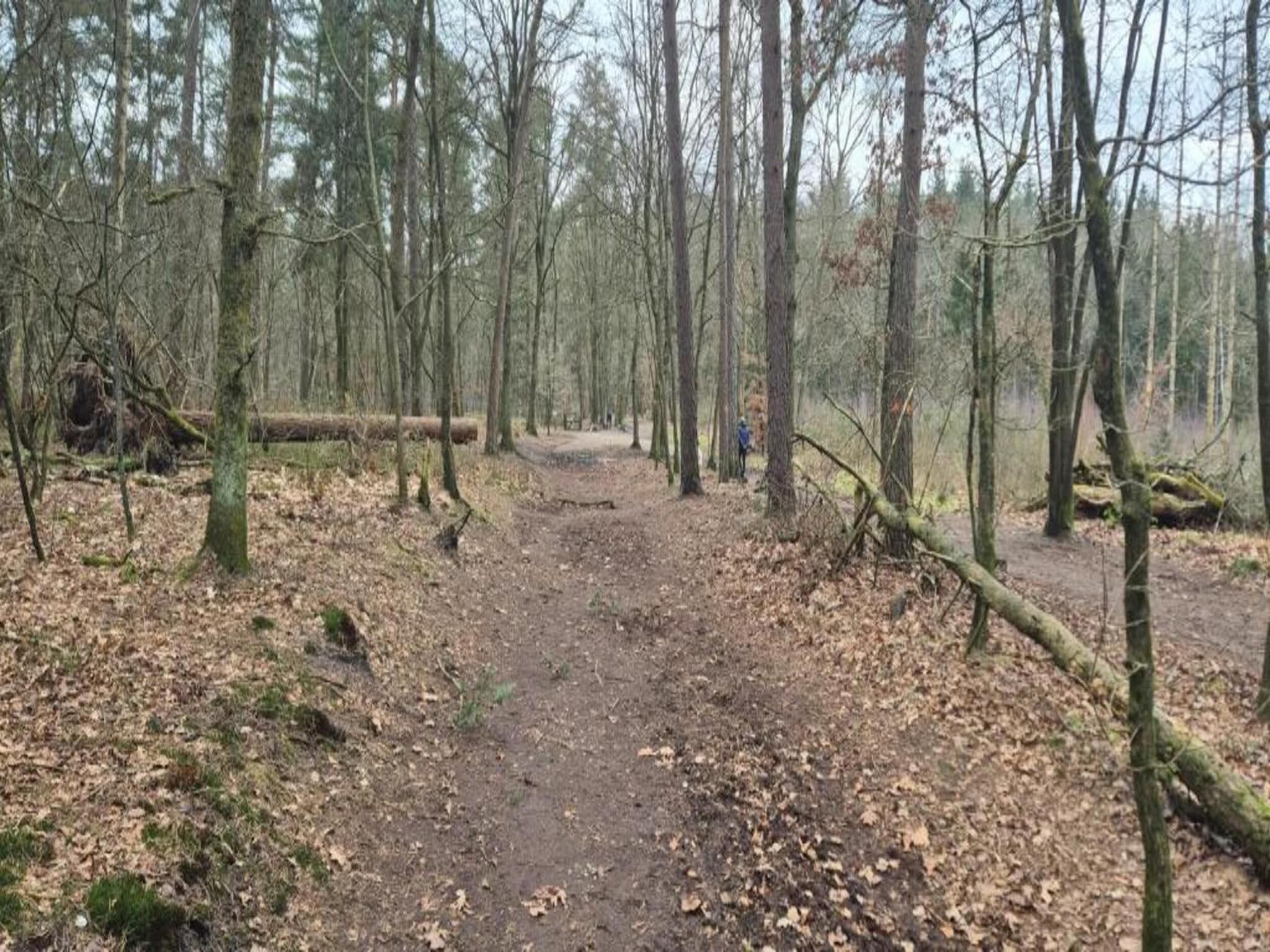 Bungalowpark Hoenderloo 1 in Hoenderloo - Foto 39 van 40