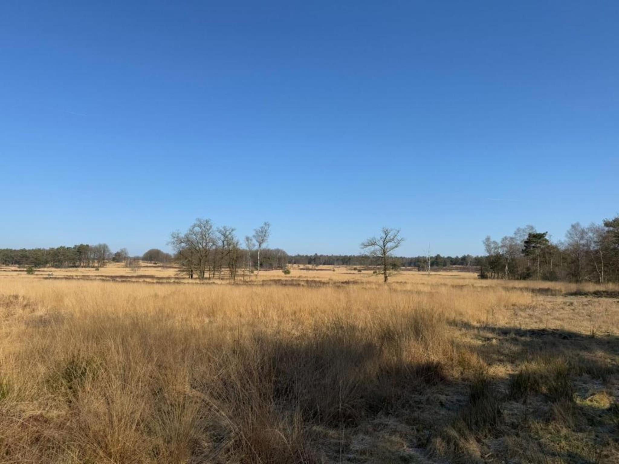 Bungalowpark Hoenderloo 1 in Hoenderloo - Foto 36 van 40