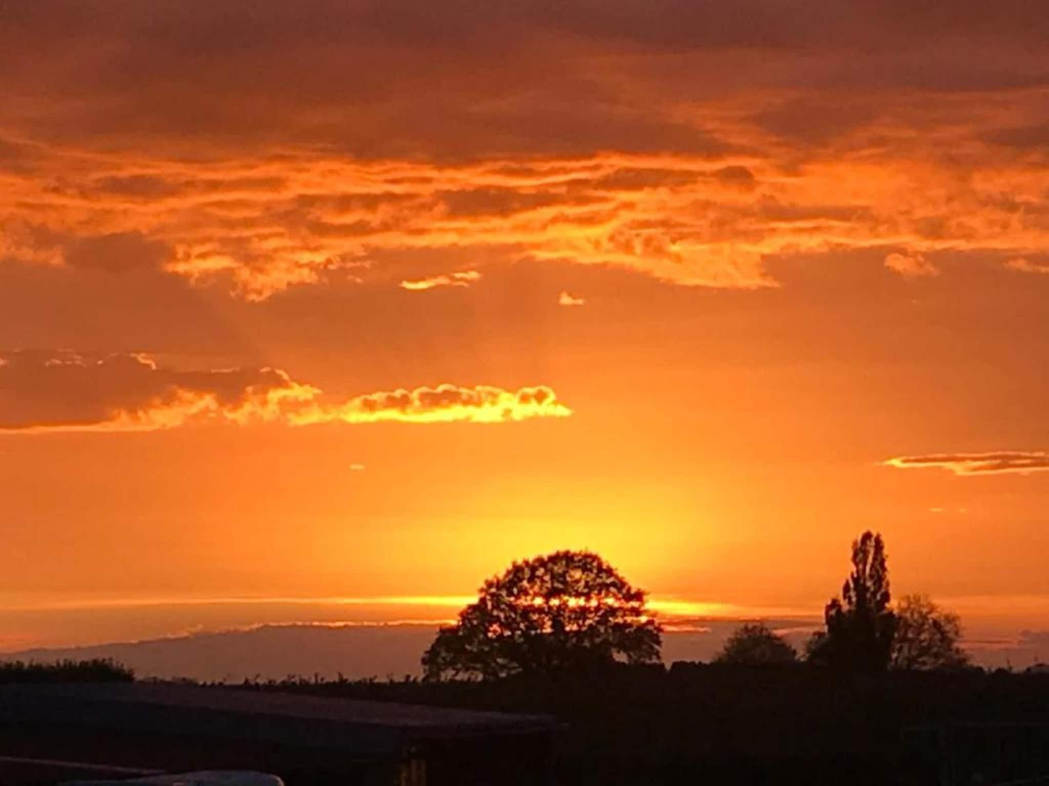 Los Elefantes in Sint Joost - Foto 37 van 40