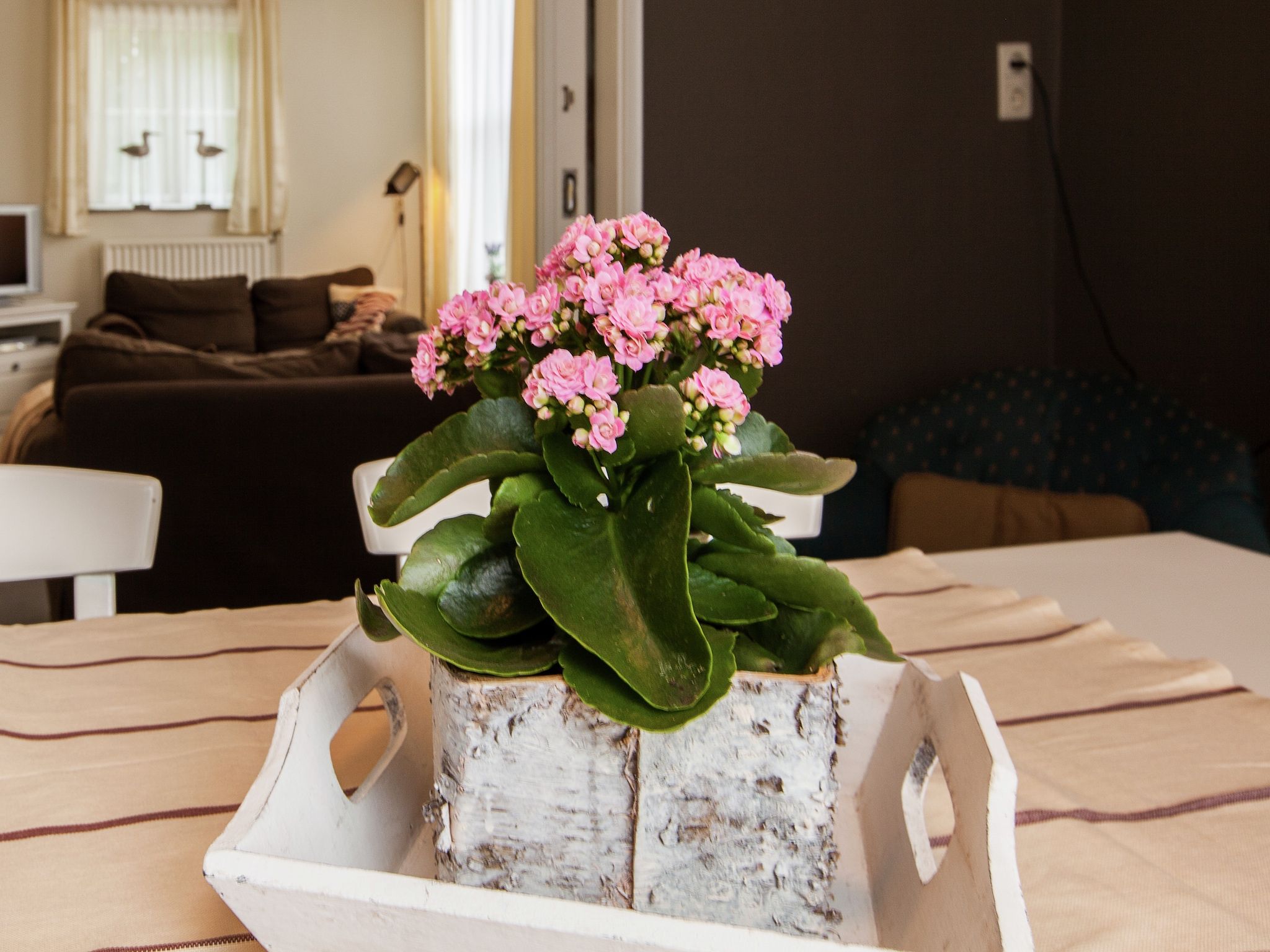 Sfeerbeeld van De Paardenmarkt in Aardenburg