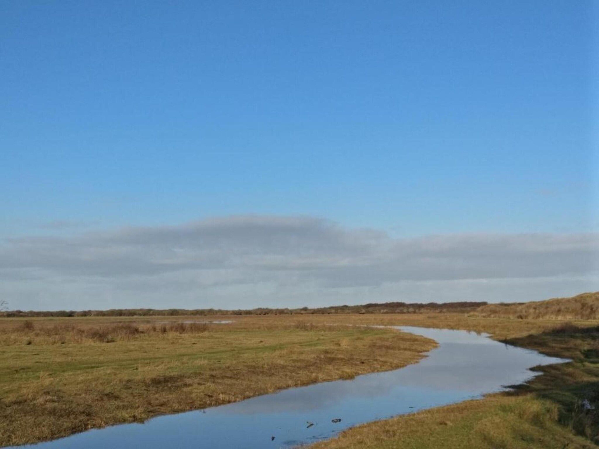 Kustpark Texel 2 in De Koog - Foto 33 van 40