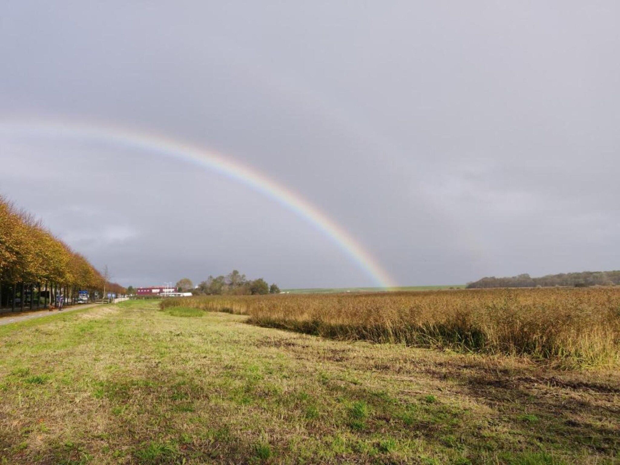 Kustpark Texel 2 in De Koog - Foto 37 van 40