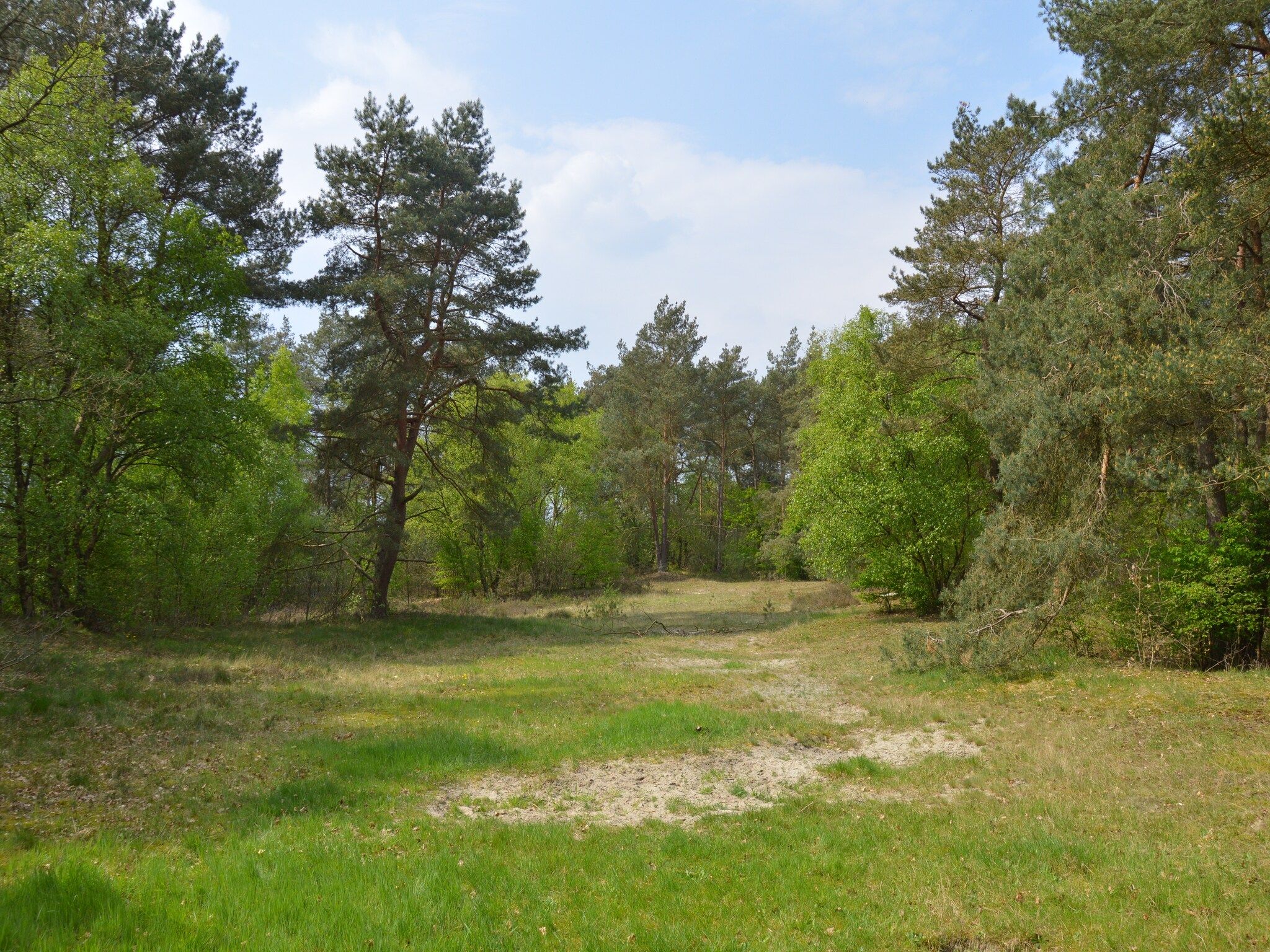 Het uitzicht vanaf Dapama in Beerze