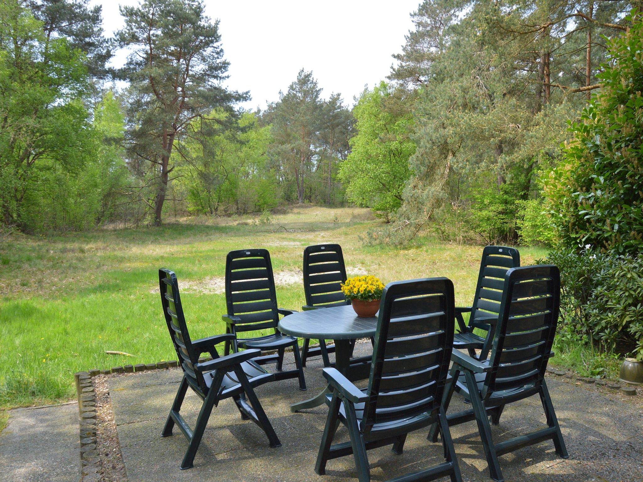 De tuin van Dapama in Beerze