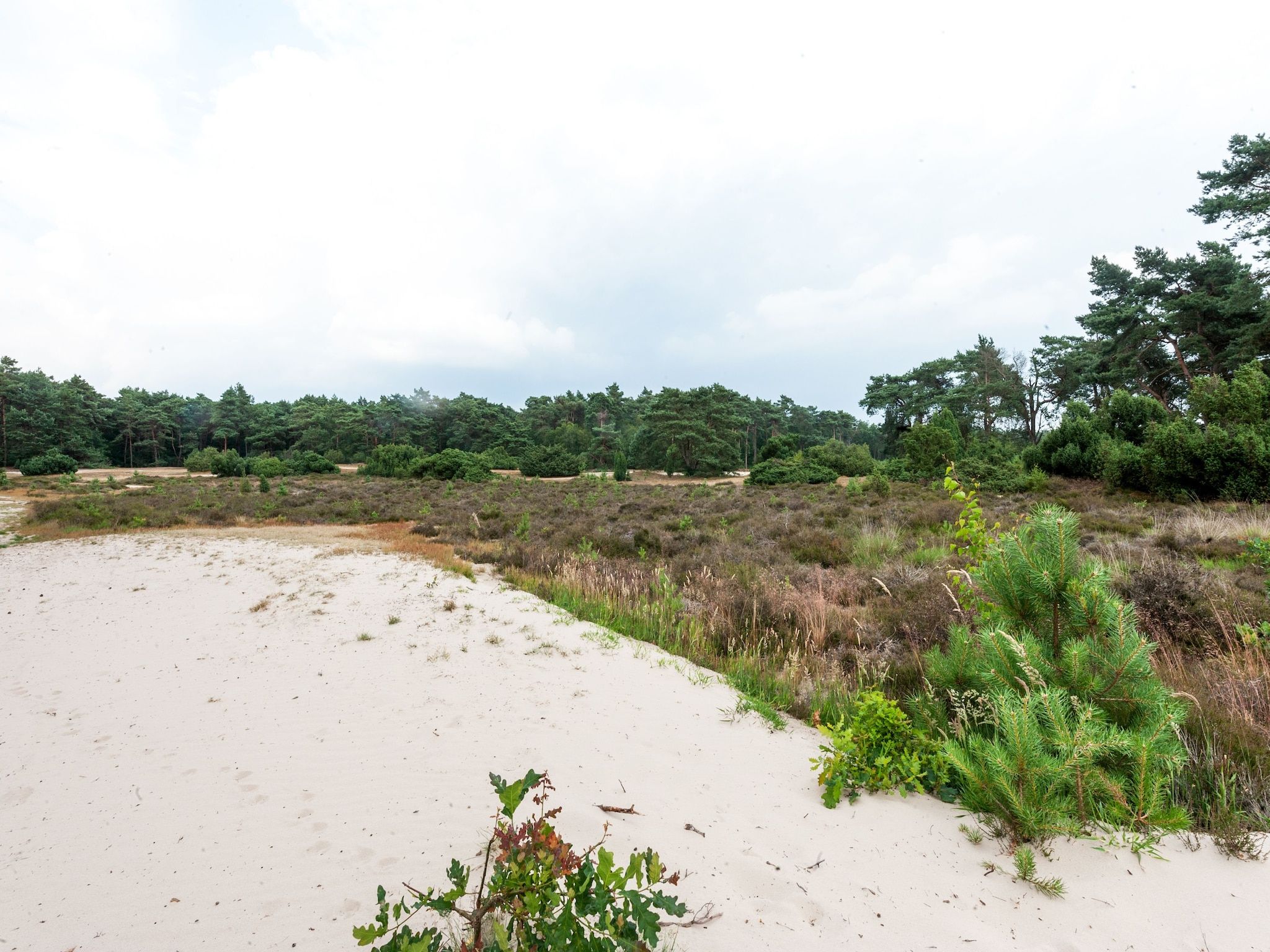 Dapama in Beerze - Foto 38 van 40