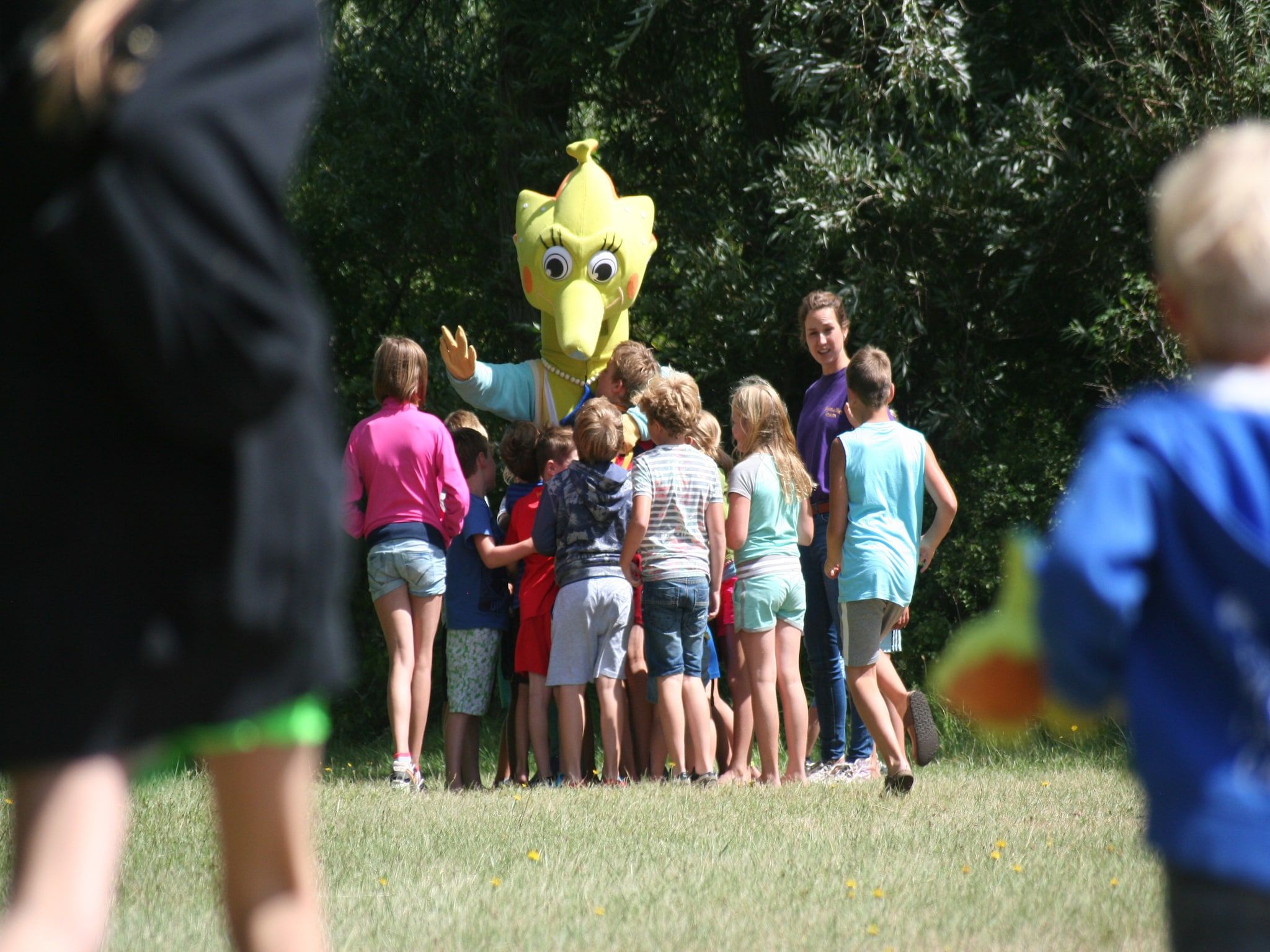 Parkfaciliteiten bij Villapark de Paardekreek 6 in Kortgene
