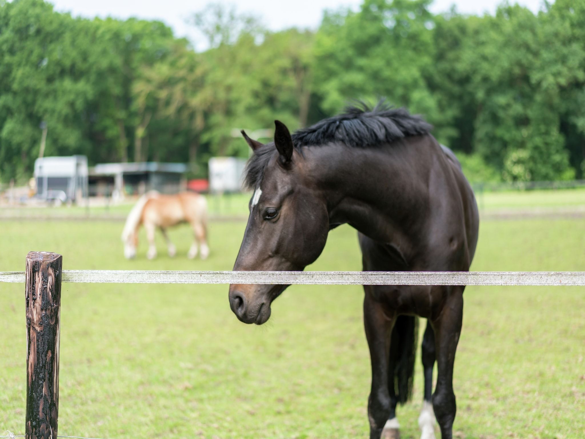 Gerhardeshoeve in Hardenberg-Rheeze - Foto 38 van 40