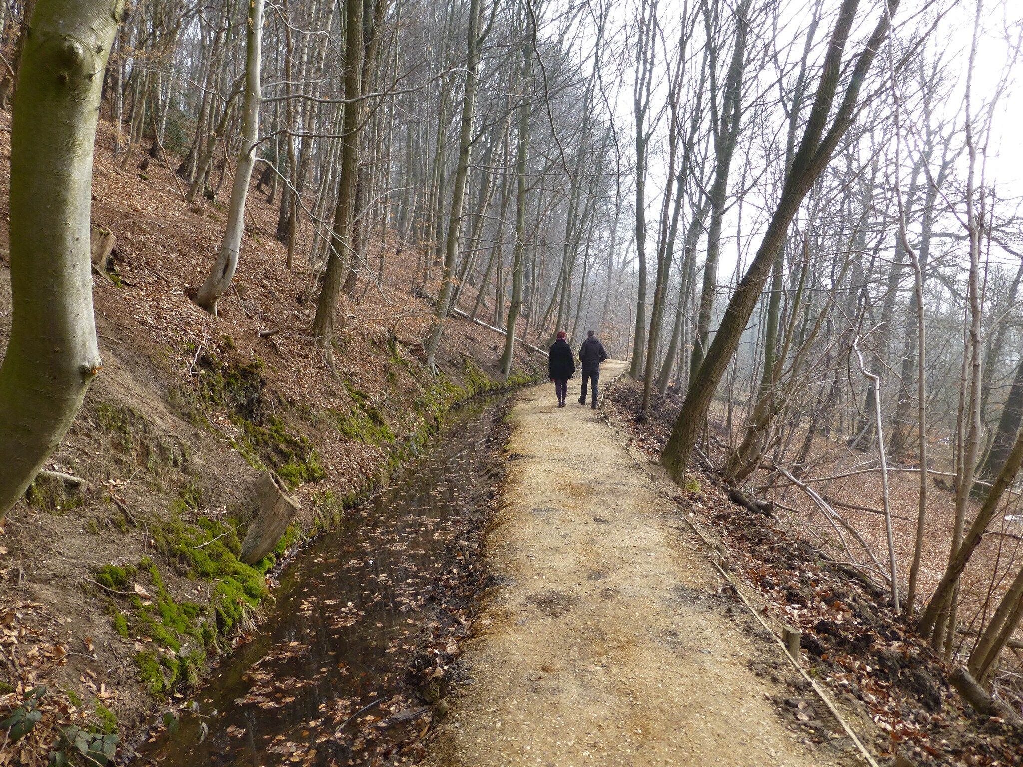 De Riethorst 1 in Plasmolen - Foto 19 van 40