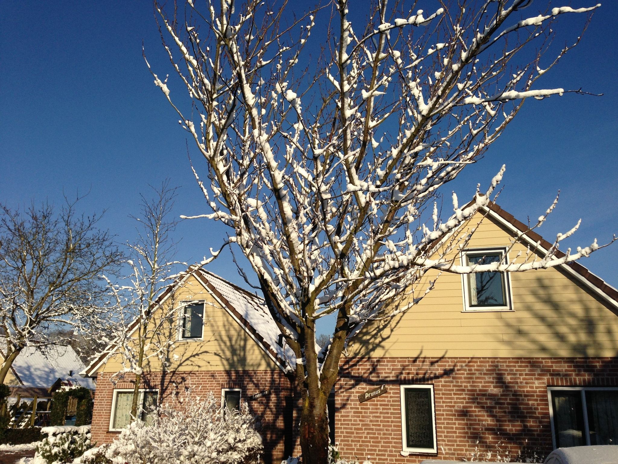 De buitenkant van De Riethorst 1 in Plasmolen